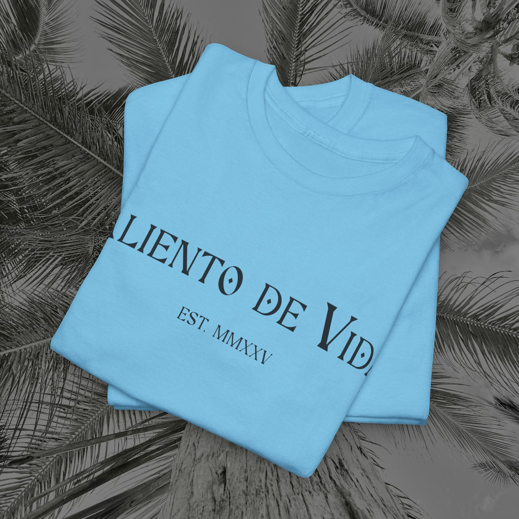 Climbing To New Heights - (UNISEX) Heavy Cotton T-Shirt - Aliento De Vida