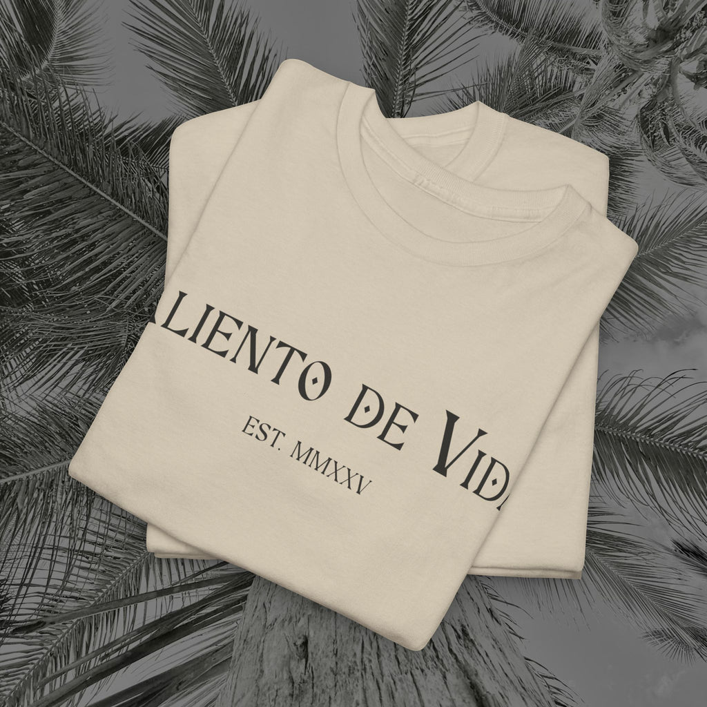Capture The Moment - (UNISEX) Heavy Cotton Tee - Aliento De Vida