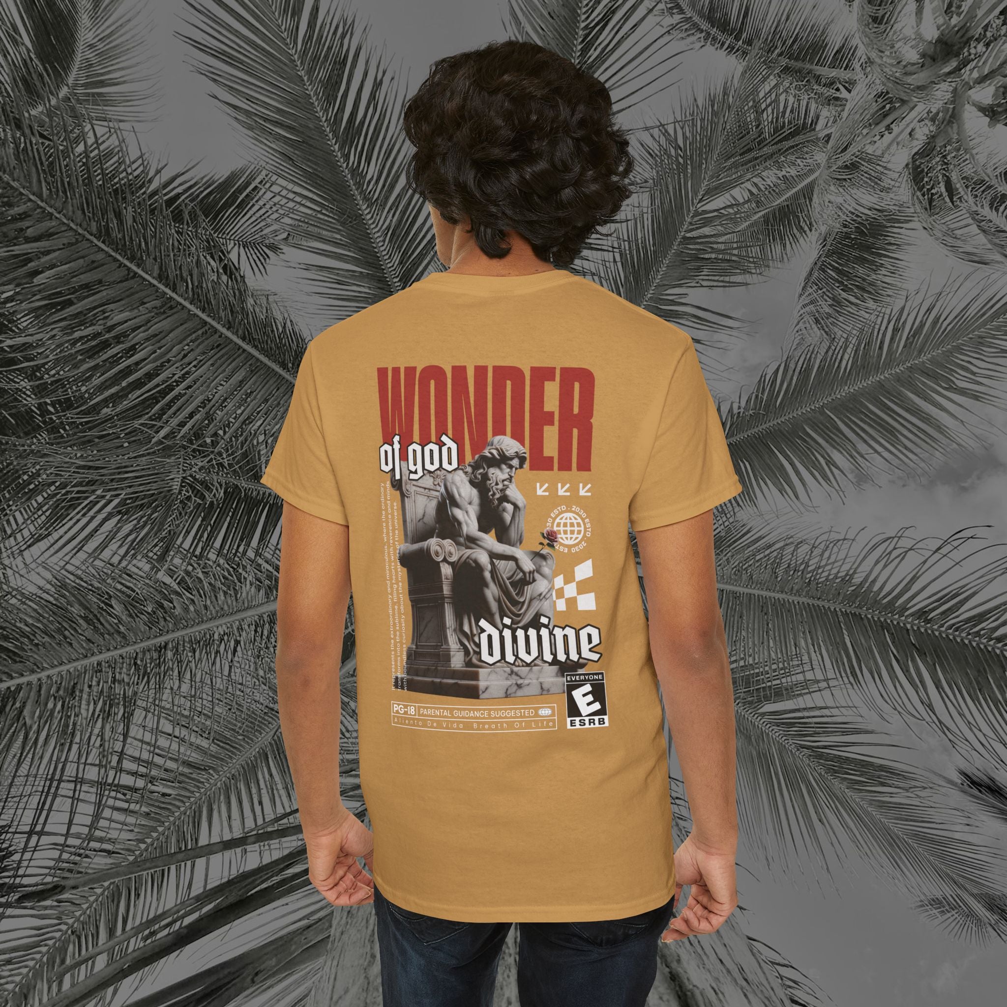 Throne of the Divine - (UNSEX) Heavy Cotton T-Shirt - Aliento De Vida