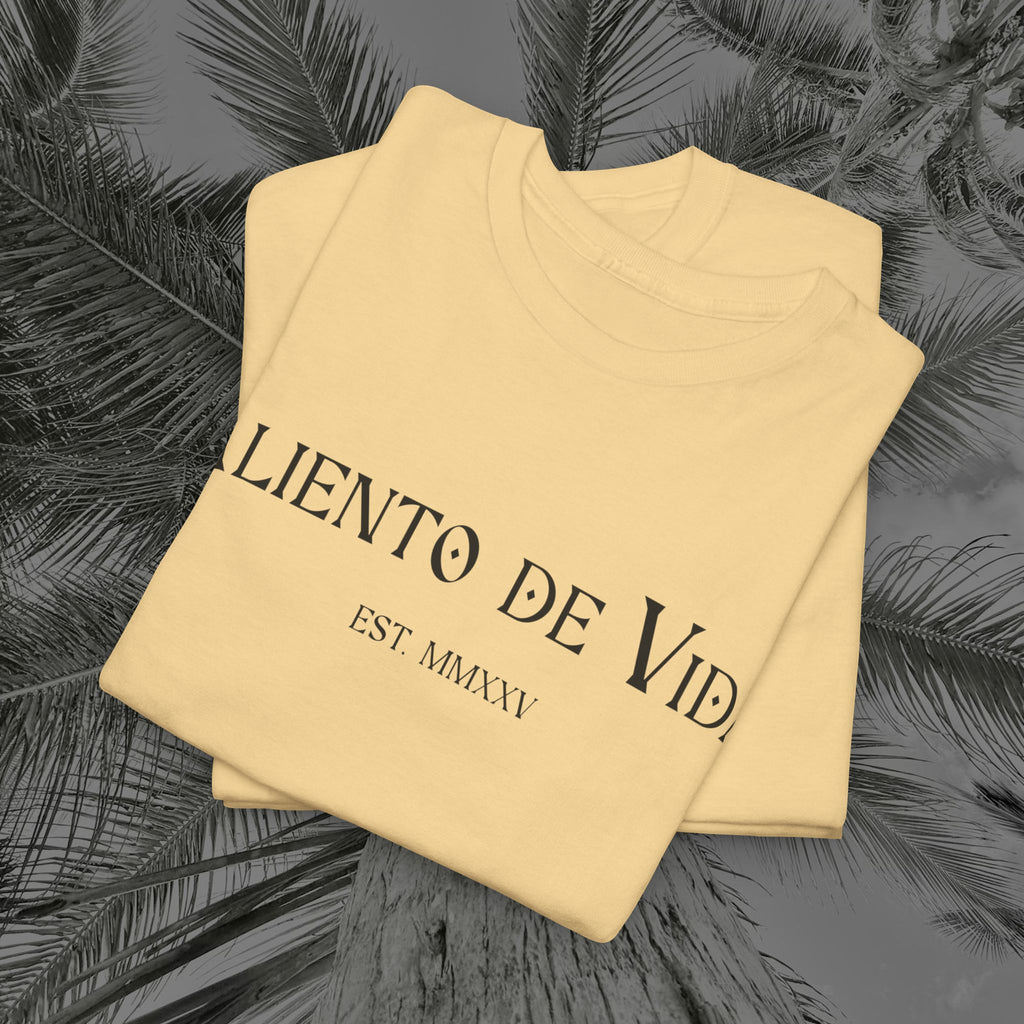 Climbing To New Heights - (UNISEX) Heavy Cotton T-Shirt - Aliento De Vida