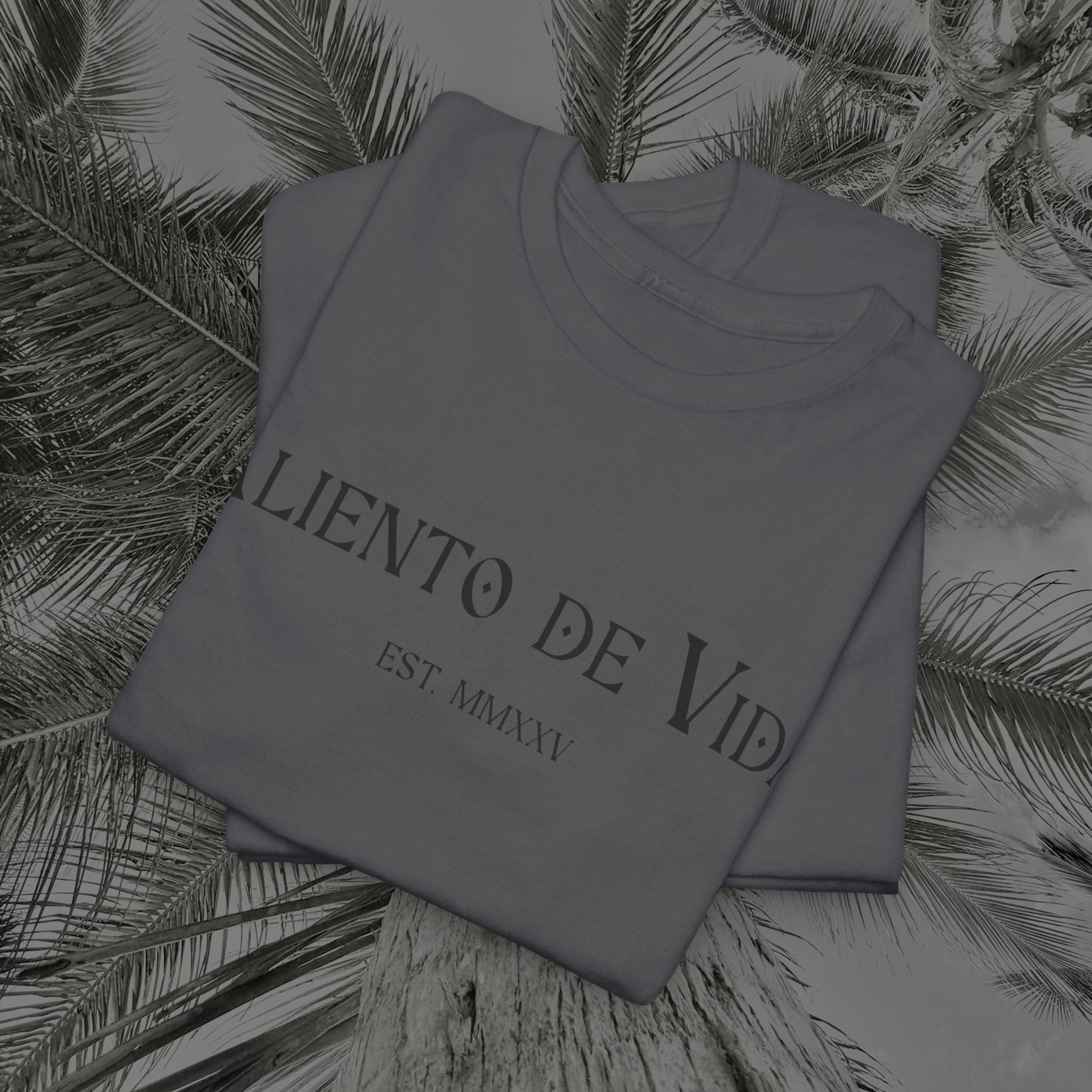 Wings of Grace - Back Design - Heavy Cotton Tee - Aliento De Vida