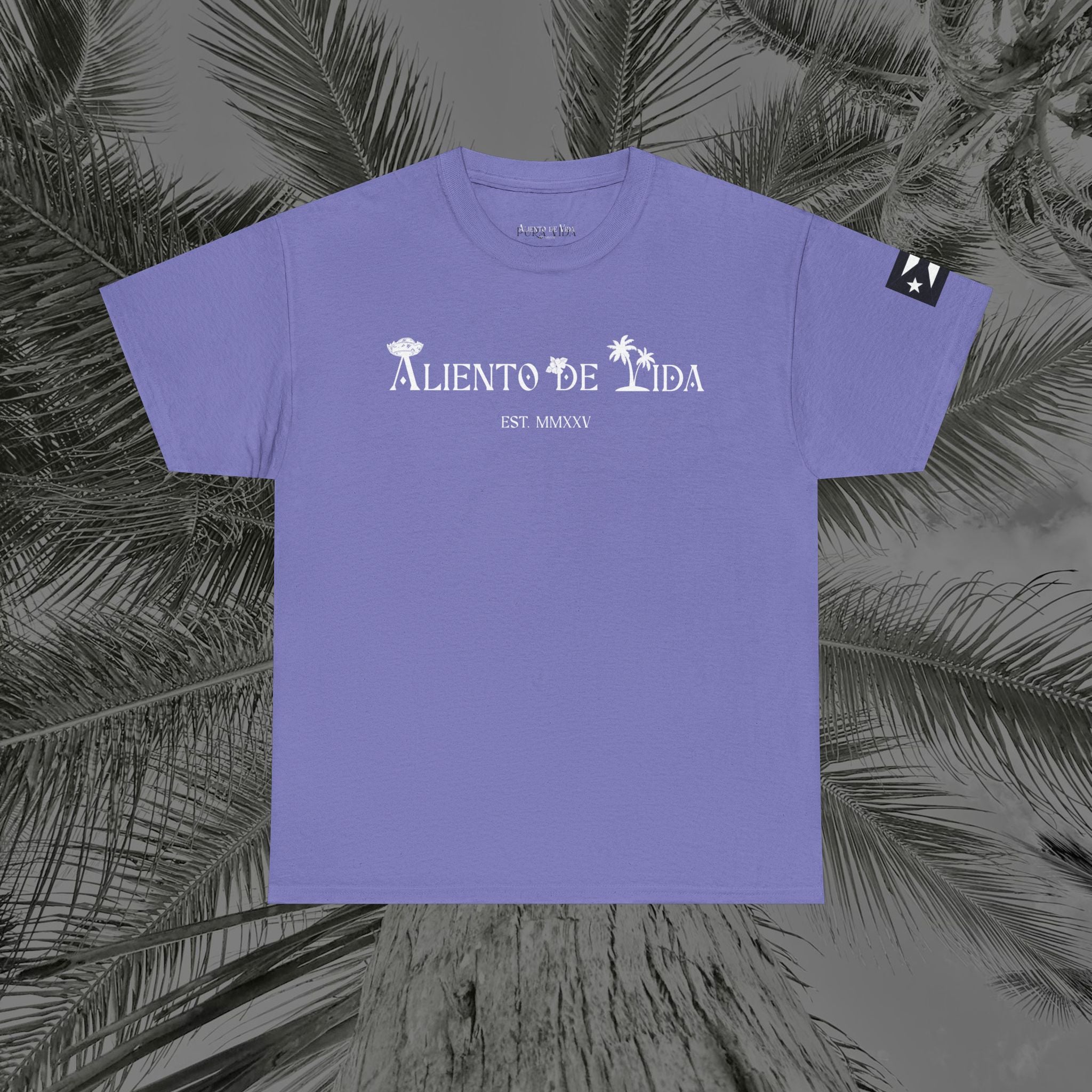 Coqui Love V2 - PR COLLECTION - (UNISEX) Heavy Cotton Tee - Aliento De Vida