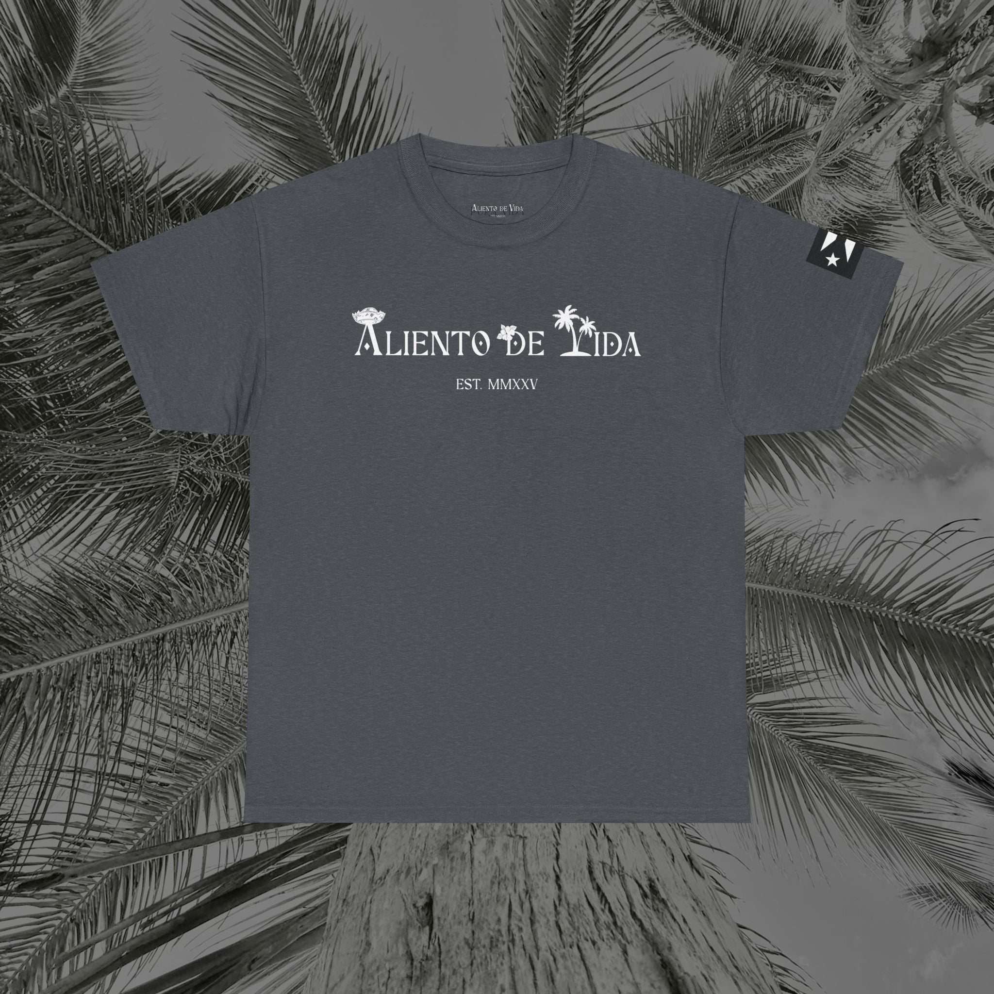 Coqui Love V2 - PR COLLECTION - (UNISEX) Heavy Cotton Tee - Aliento De Vida