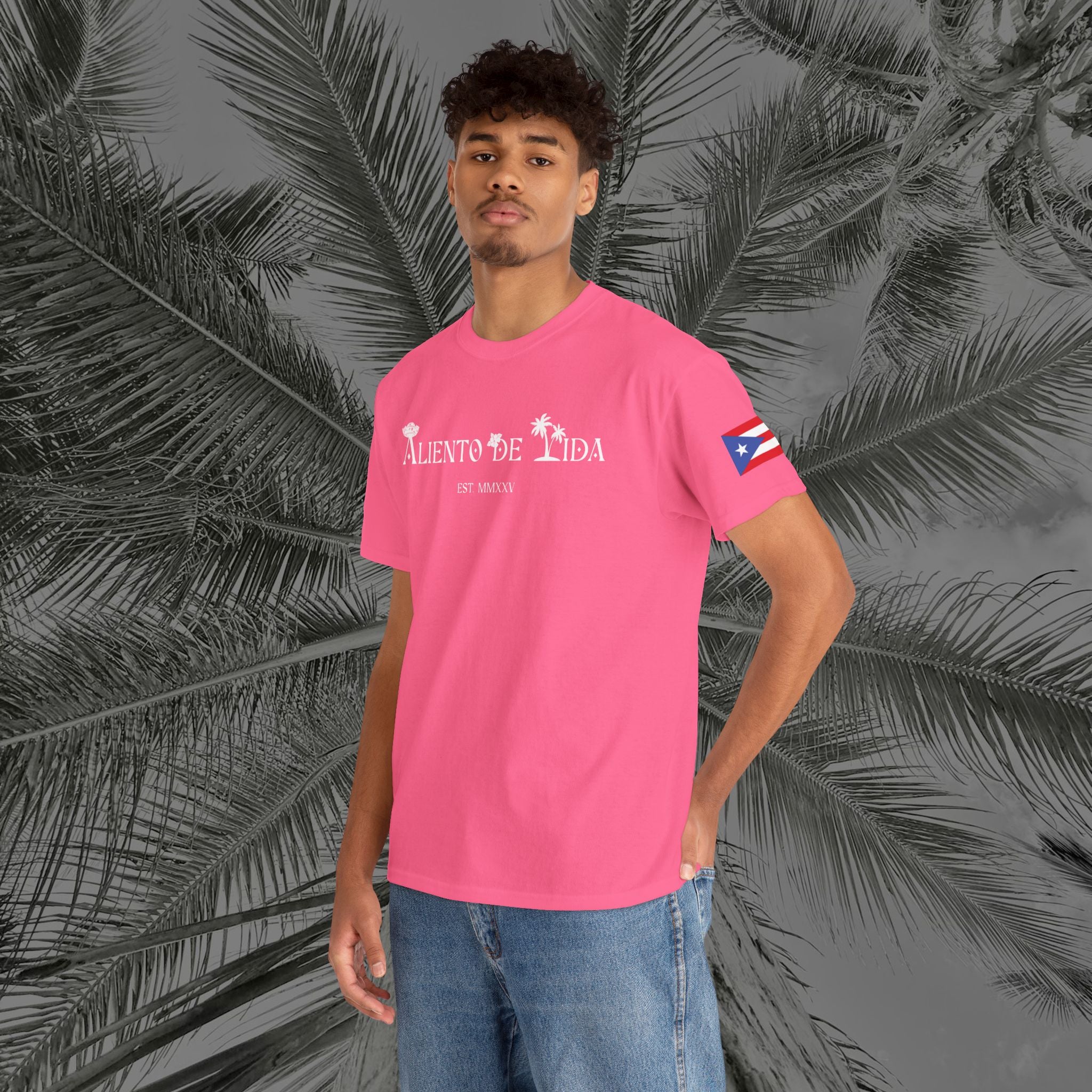 Island Cruiser - PR COLLECTION - (UNISEX) Heavy Cotton Tee - Aliento De Vida