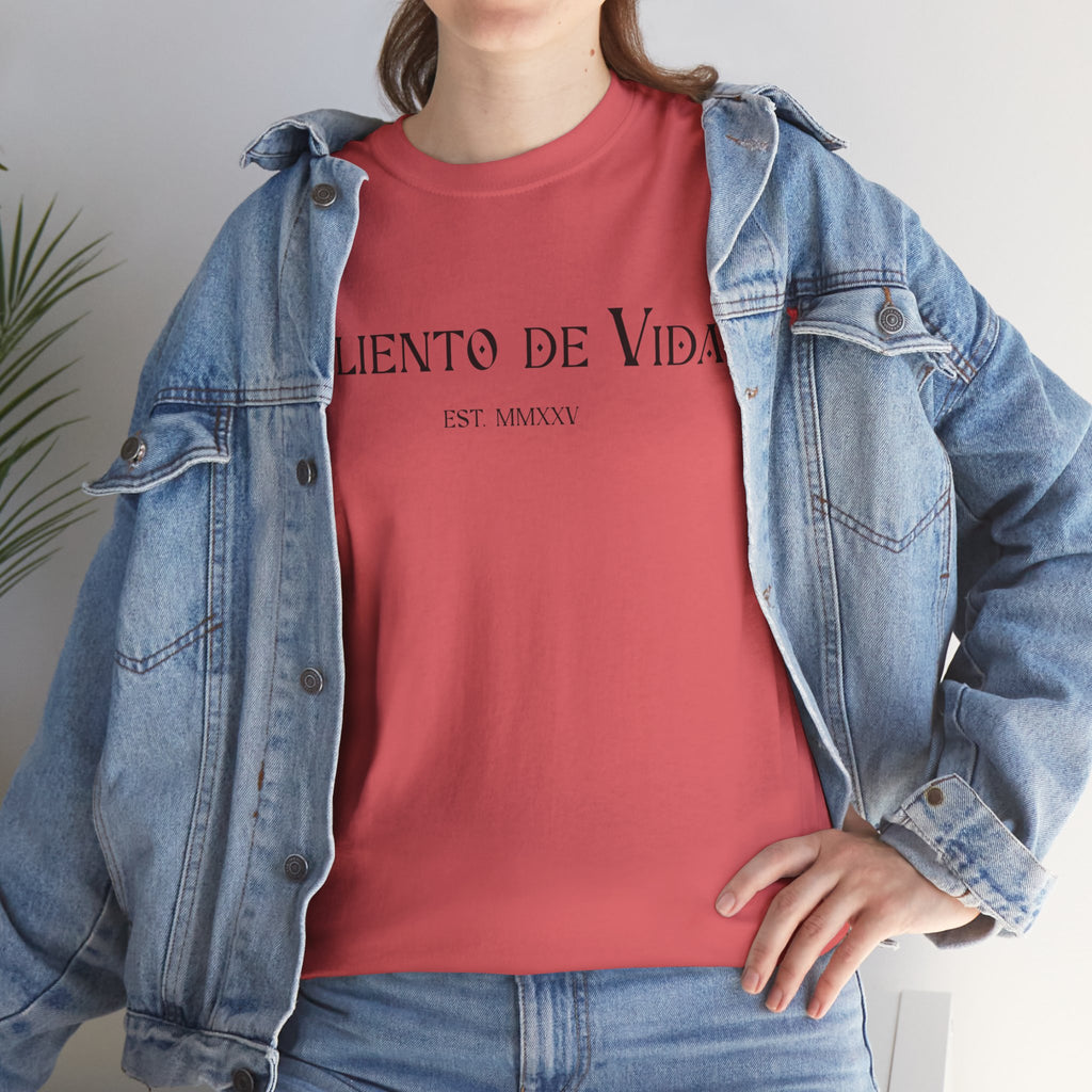 Climbing To New Heights - (UNISEX) Heavy Cotton T-Shirt - Aliento De Vida
