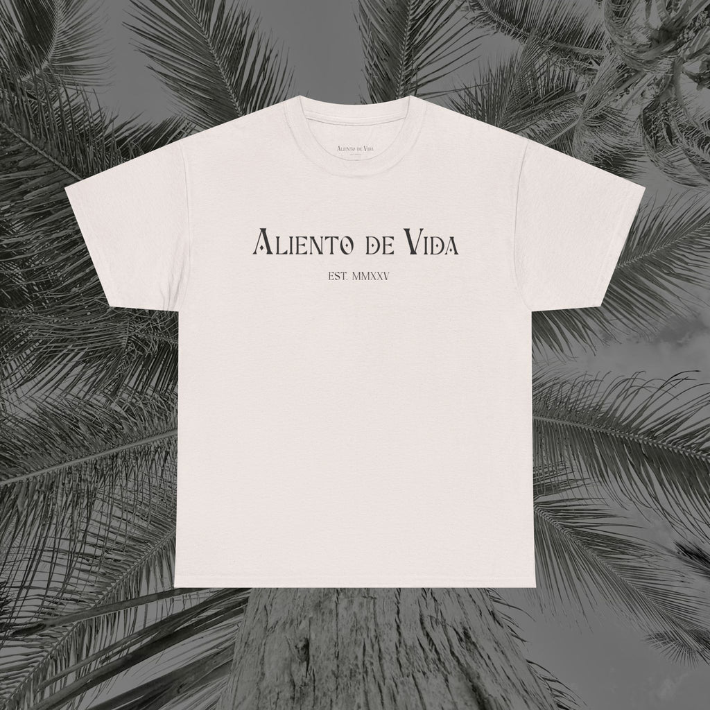 Climbing To New Heights - (UNISEX) Heavy Cotton T-Shirt - Aliento De Vida