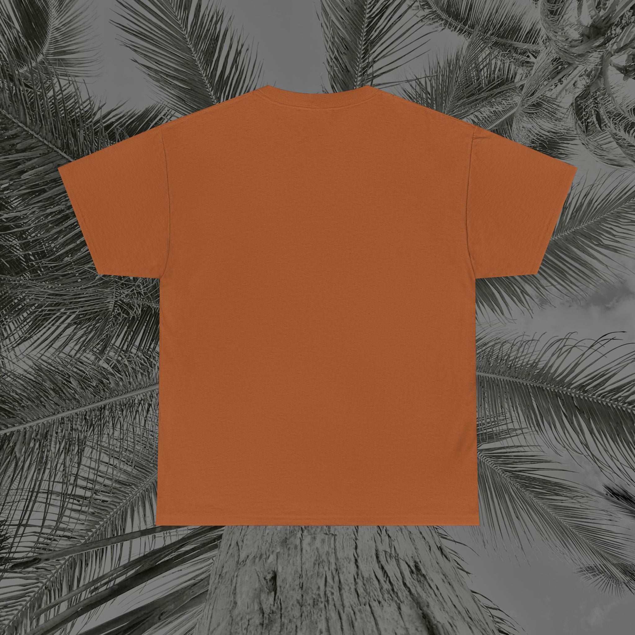 Faith Over Fear - (UNISEX) Heavy Cotton Tee - Aliento De Vida