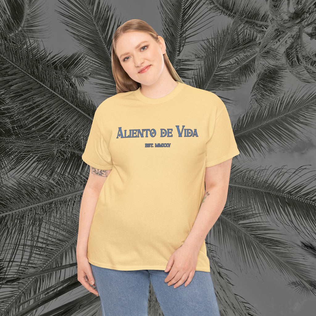 Always Pray - (UNISEX) Heavy Cotton Tee - Aliento De Vida