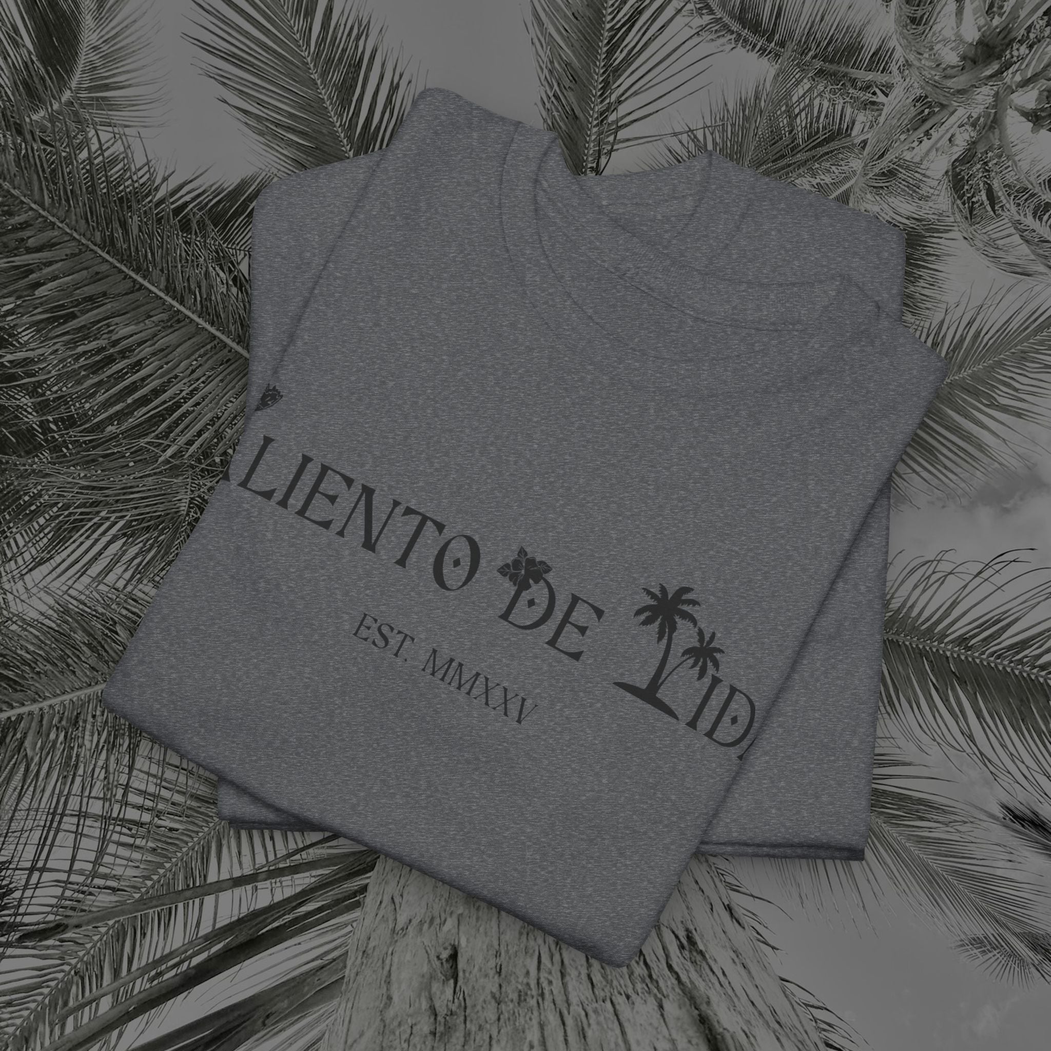 WE ARE PUERTO RICAN - PR COLLECTION - (UNISEX) Heavy Cotton Tee - Aliento De Vida