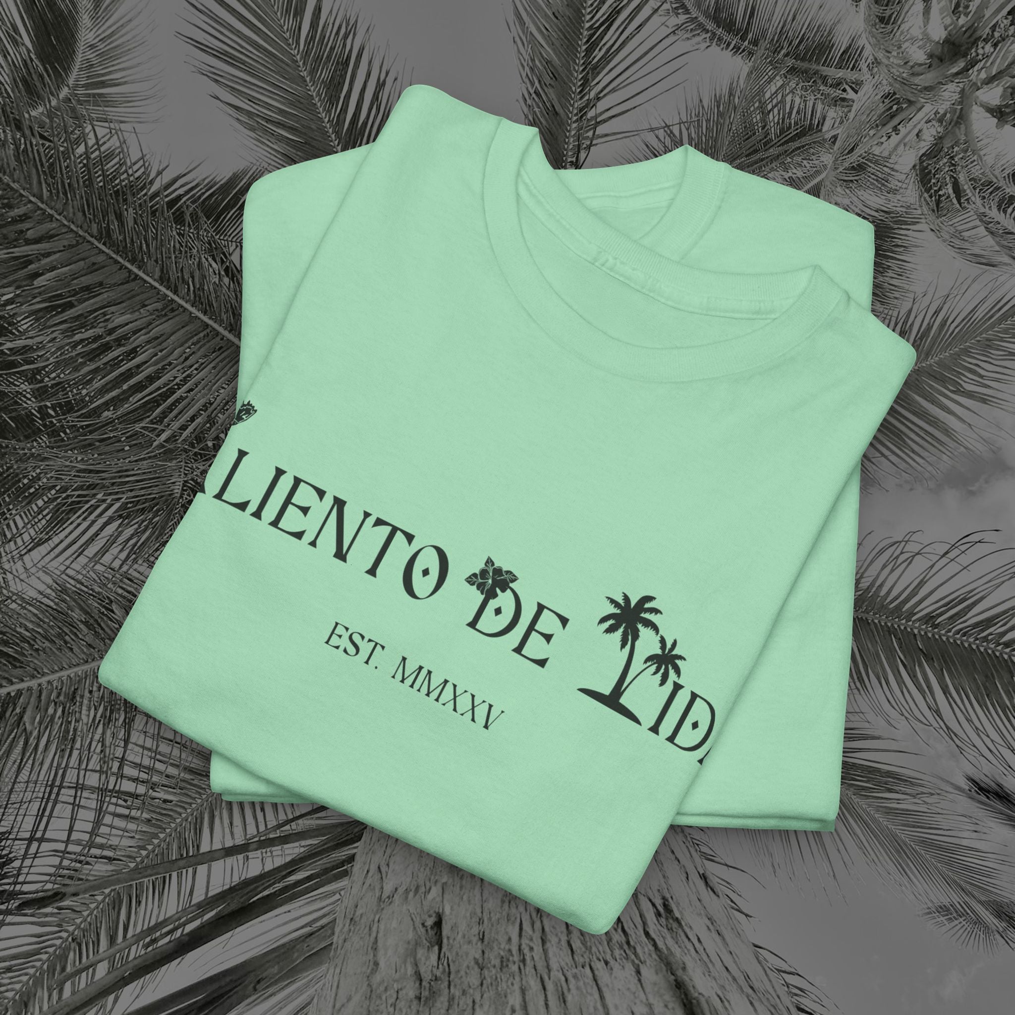 Coqui Crazy - PR COLLECTION - (UNISEX) Heavy Cotton Tee - Aliento De Vida