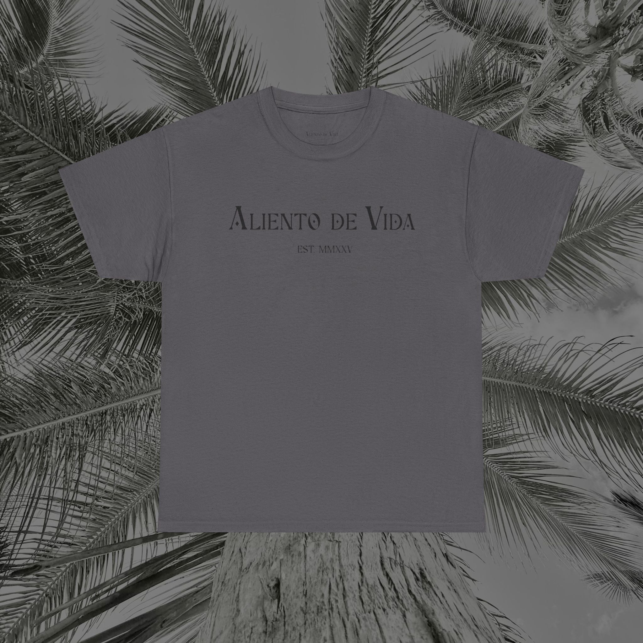 Capture The Moment - (UNISEX) Heavy Cotton Tee - Aliento De Vida