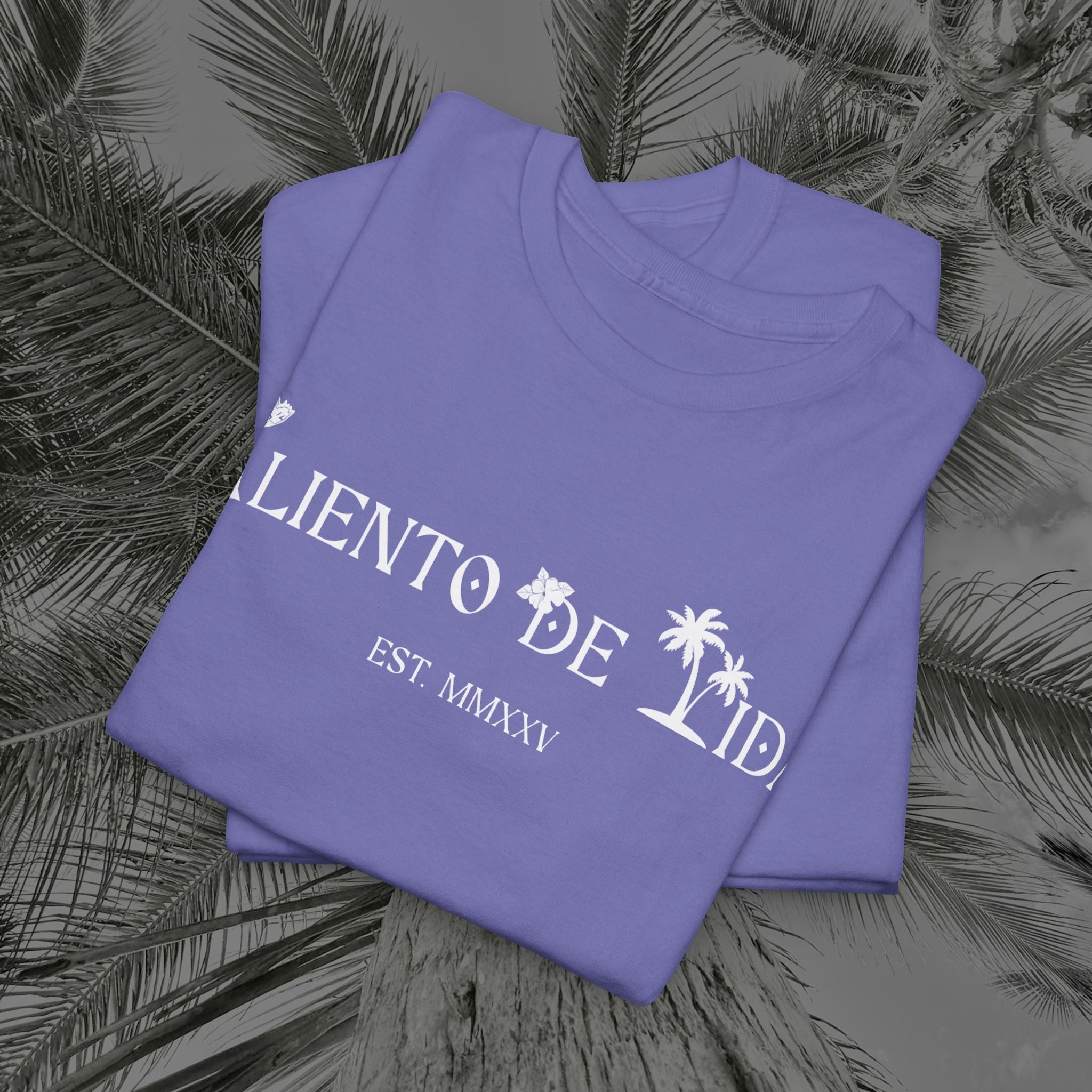 Coqui Love V2 - PR COLLECTION - (UNISEX) Heavy Cotton Tee - Aliento De Vida