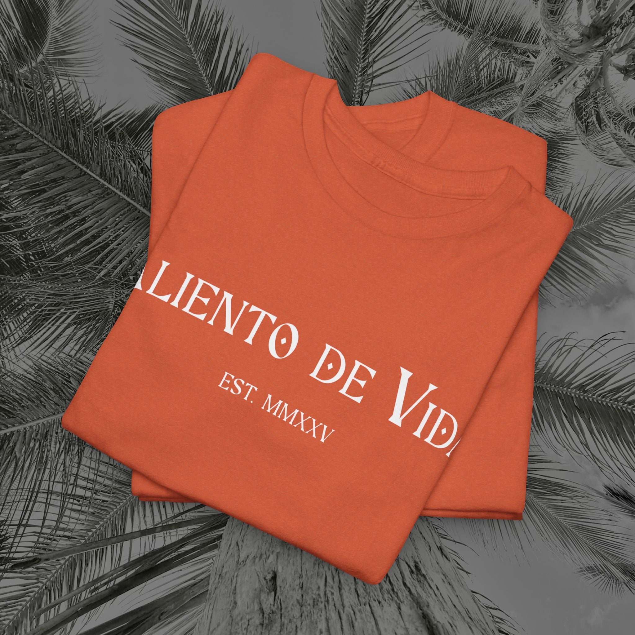 Throne of the Divine - (UNSEX) Heavy Cotton T-Shirt - Aliento De Vida