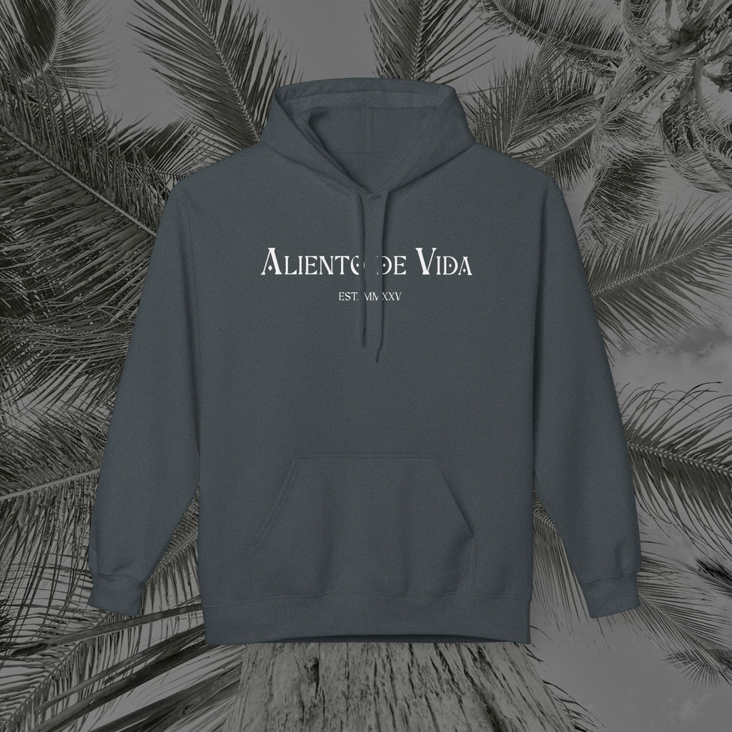 Throne of the Divine - (UNISEX) Midweight Fleece Hoodie - Aliento De Vida