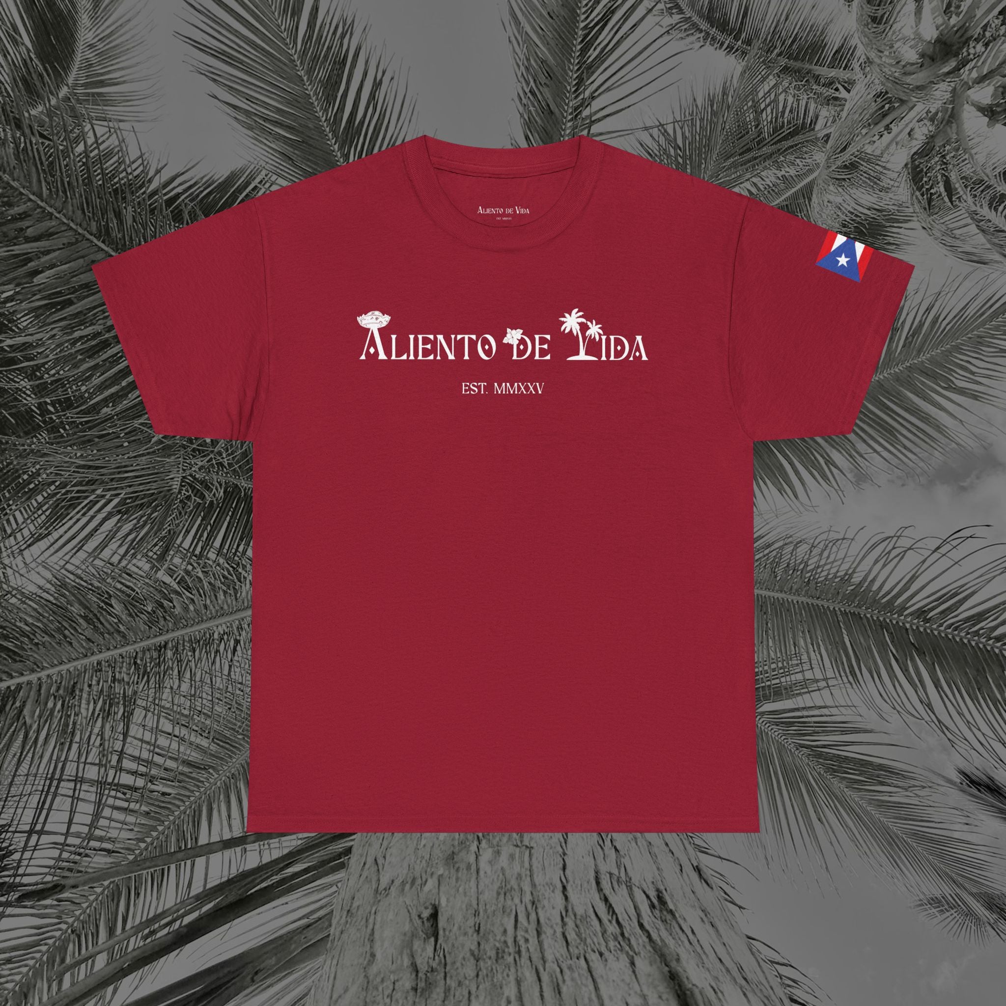 Island Cruiser - PR COLLECTION - (UNISEX) Heavy Cotton Tee - Aliento De Vida