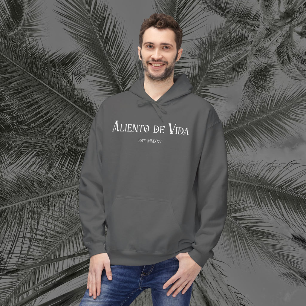 Throne of the Divine - (UNISEX) Midweight Fleece Hoodie - Aliento De Vida