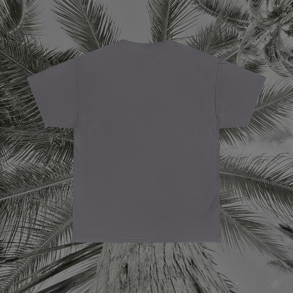 Wings of Grace - (UNISEX) Heavy Cotton Tee - Aliento De Vida