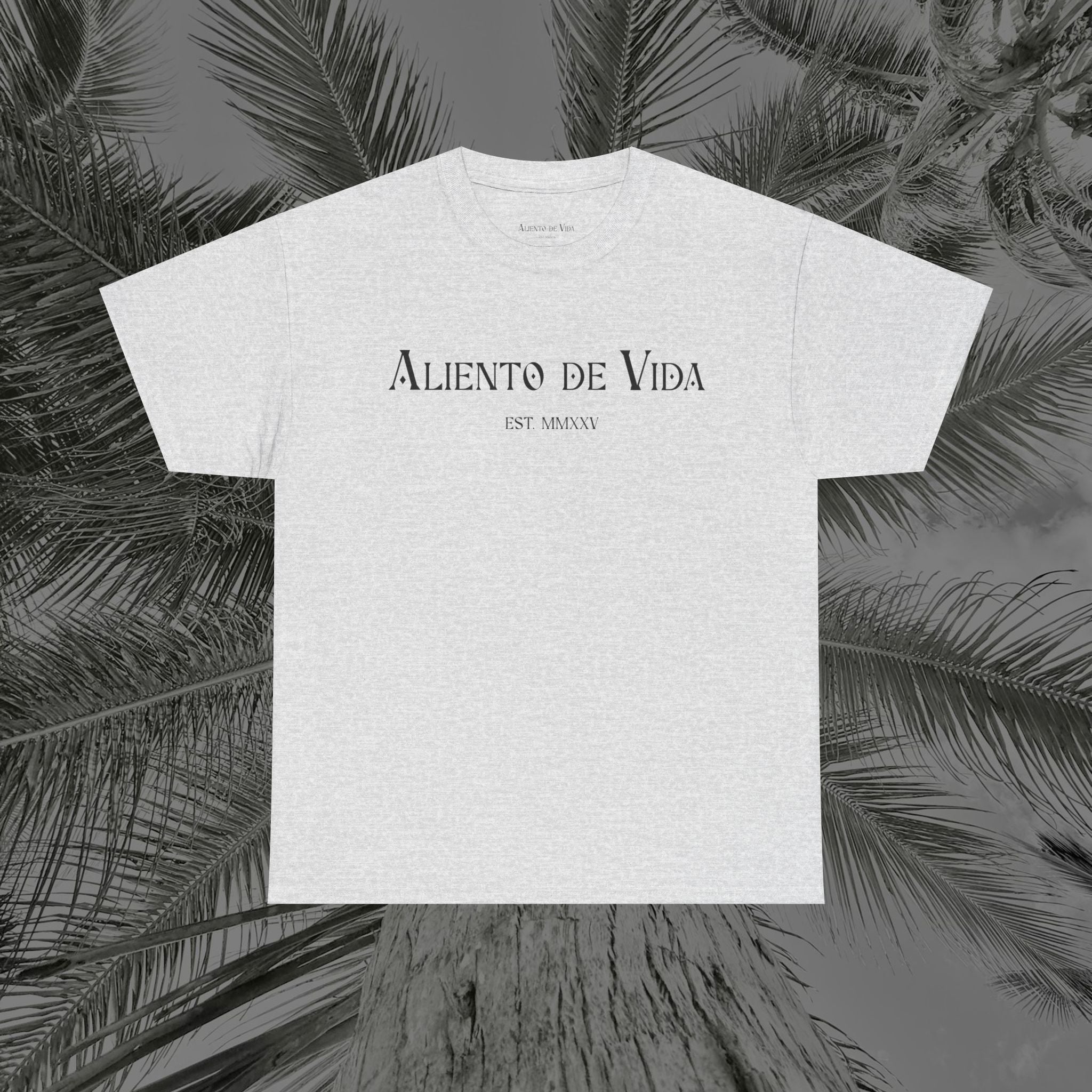 Capture The Moment - (UNISEX) Heavy Cotton Tee - Aliento De Vida
