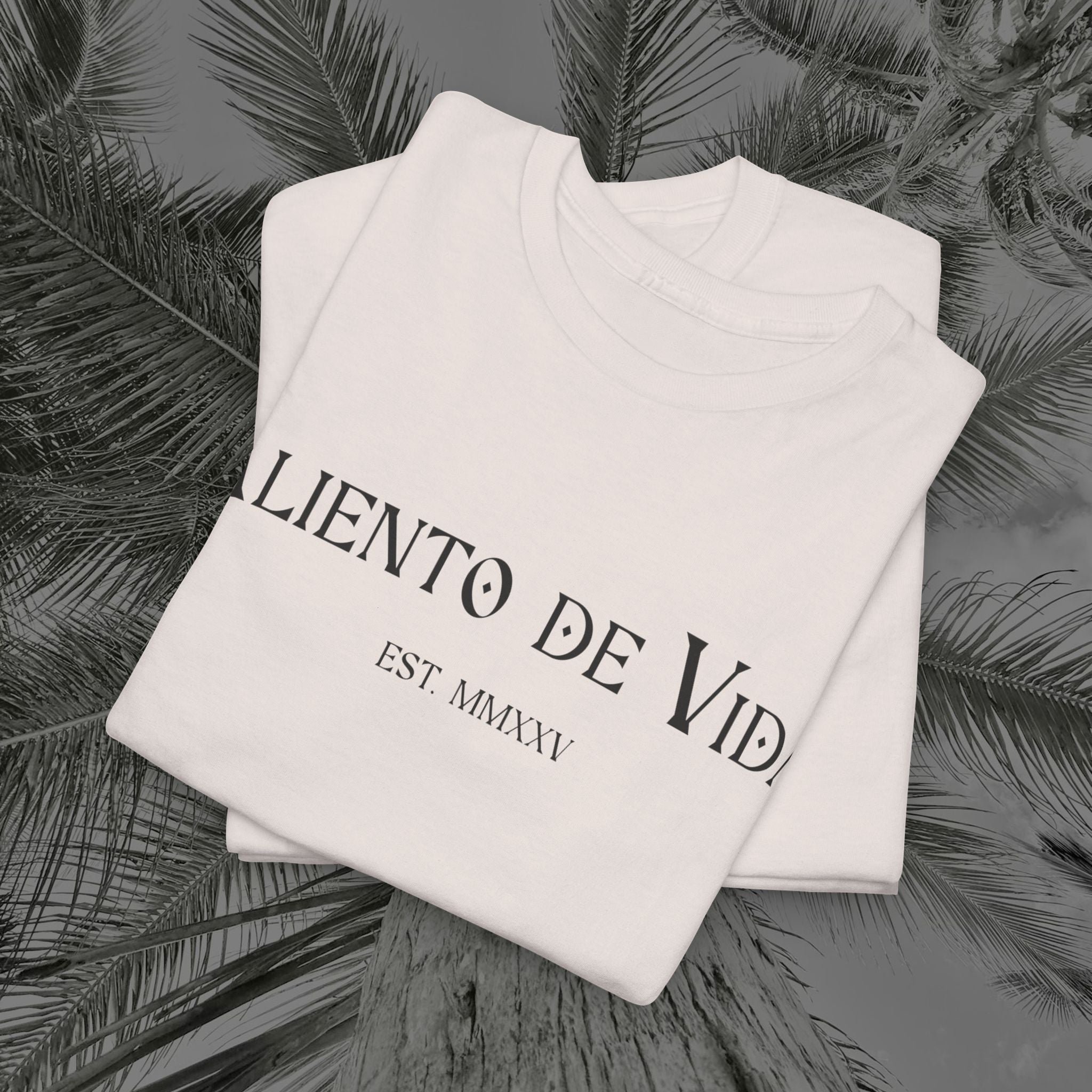 Wings of Grace - Back Design - Heavy Cotton Tee - Aliento De Vida