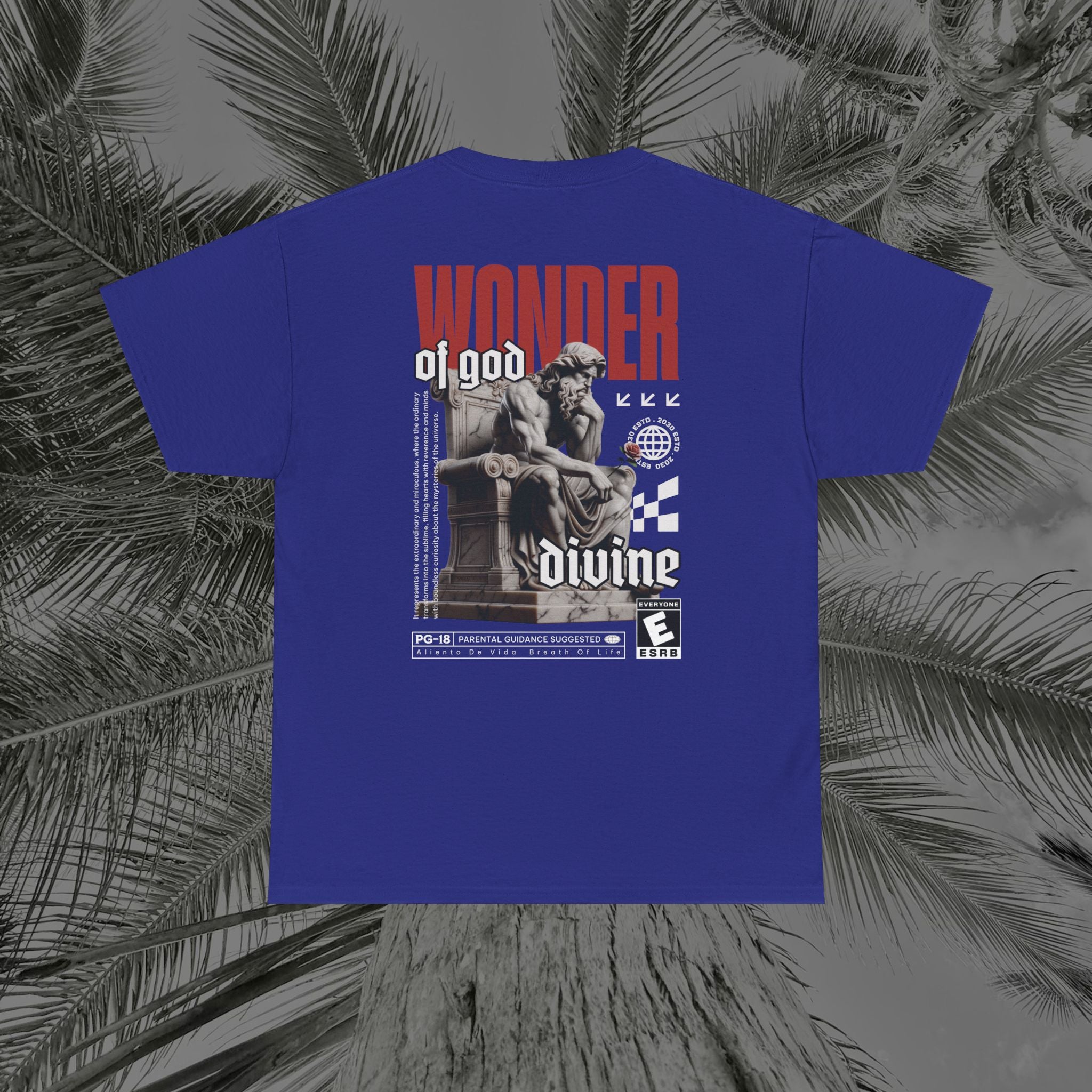 Throne of the Divine - (UNSEX) Heavy Cotton T-Shirt - Aliento De Vida