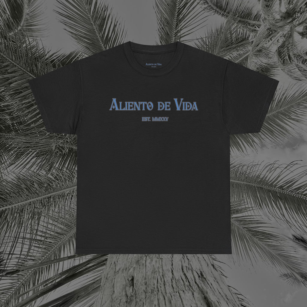 Always Pray - (UNISEX) Heavy Cotton Tee - Aliento De Vida