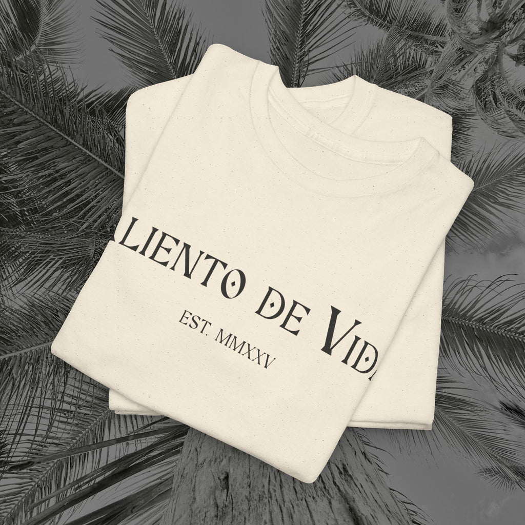 Climbing To New Heights - (UNISEX) Heavy Cotton T-Shirt - Aliento De Vida