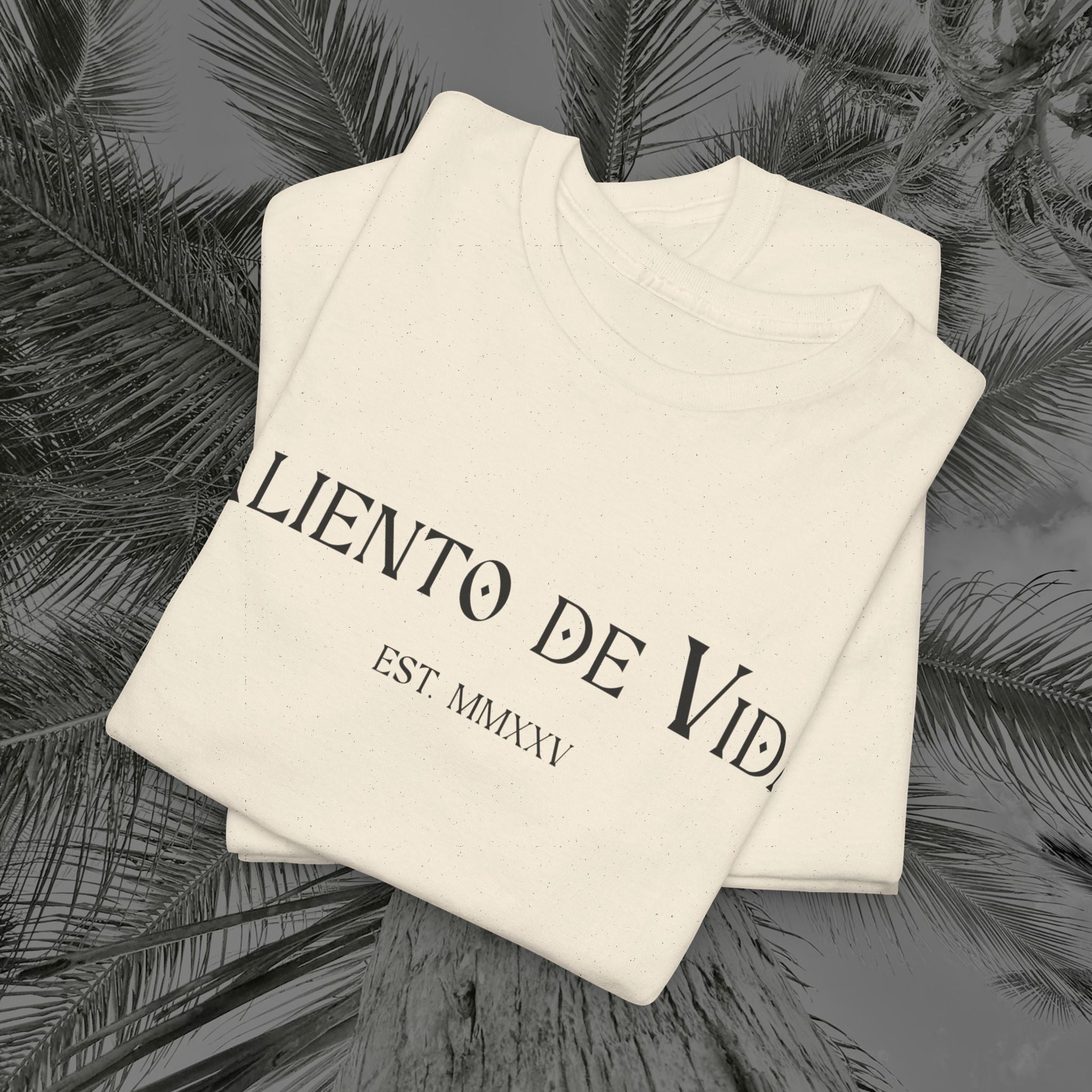 Climbing To New Heights - (UNISEX) Heavy Cotton T-Shirt - Aliento De Vida