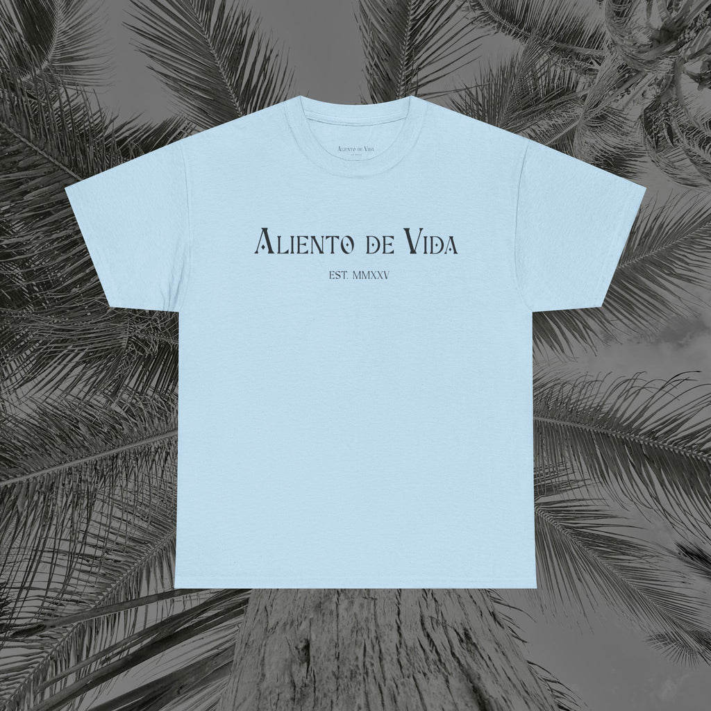 Wings of Grace - Back Design - Heavy Cotton Tee - Aliento De Vida