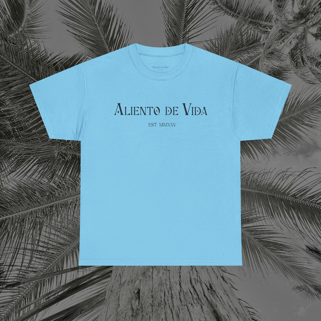 Climbing To New Heights - (UNISEX) Heavy Cotton T-Shirt - Aliento De Vida