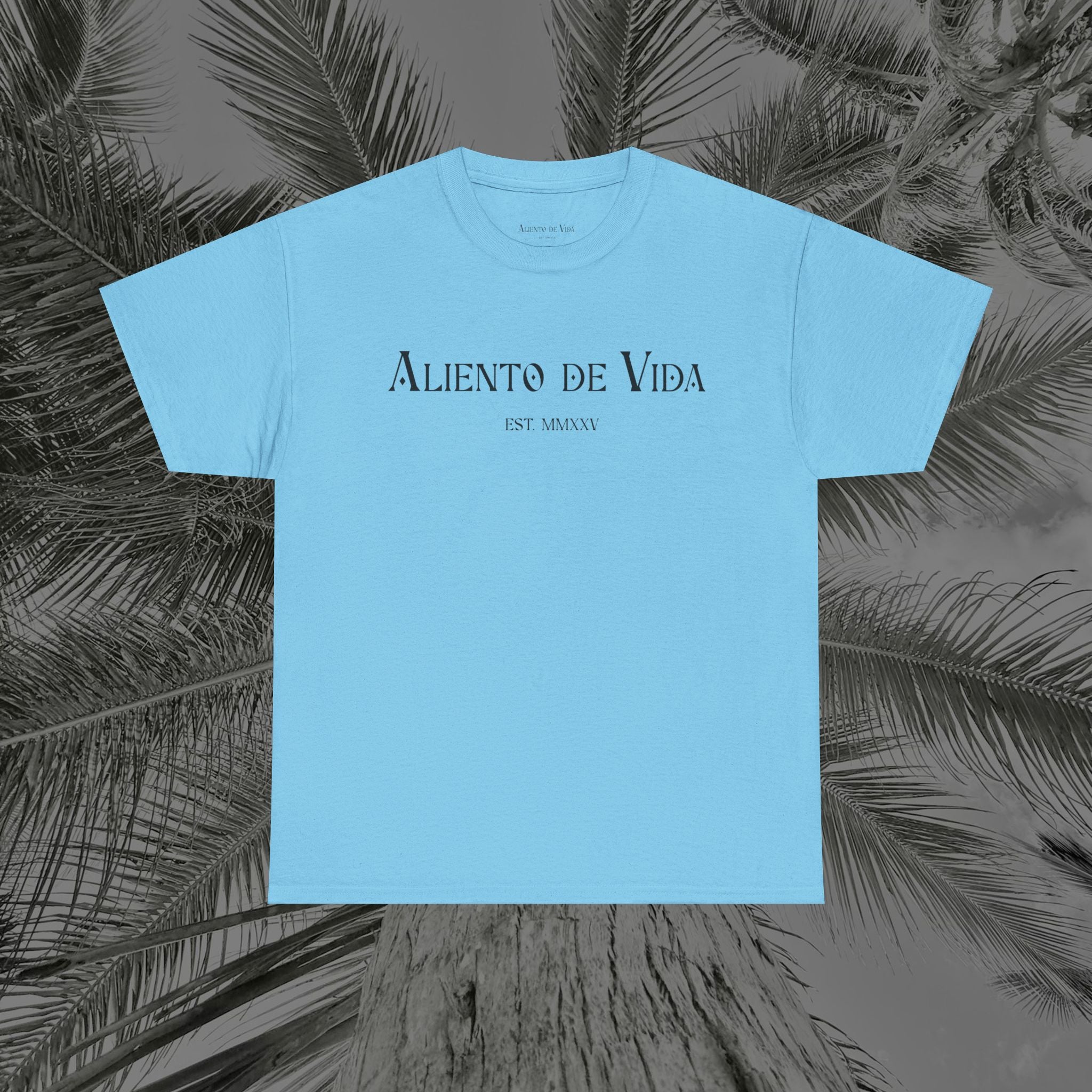 Climbing To New Heights - (UNISEX) Heavy Cotton T-Shirt - Aliento De Vida