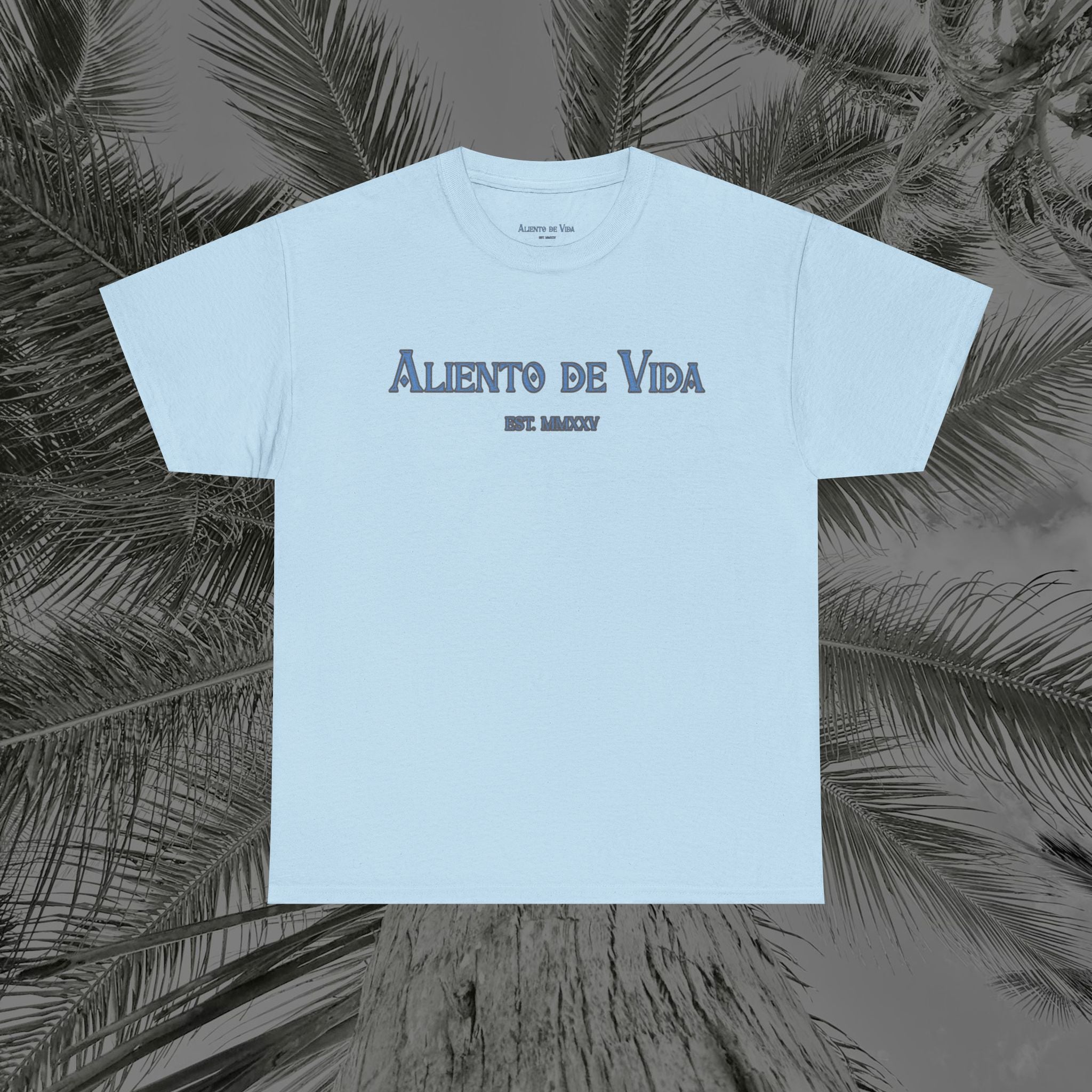 Always Pray - (UNISEX) Heavy Cotton Tee - Aliento De Vida