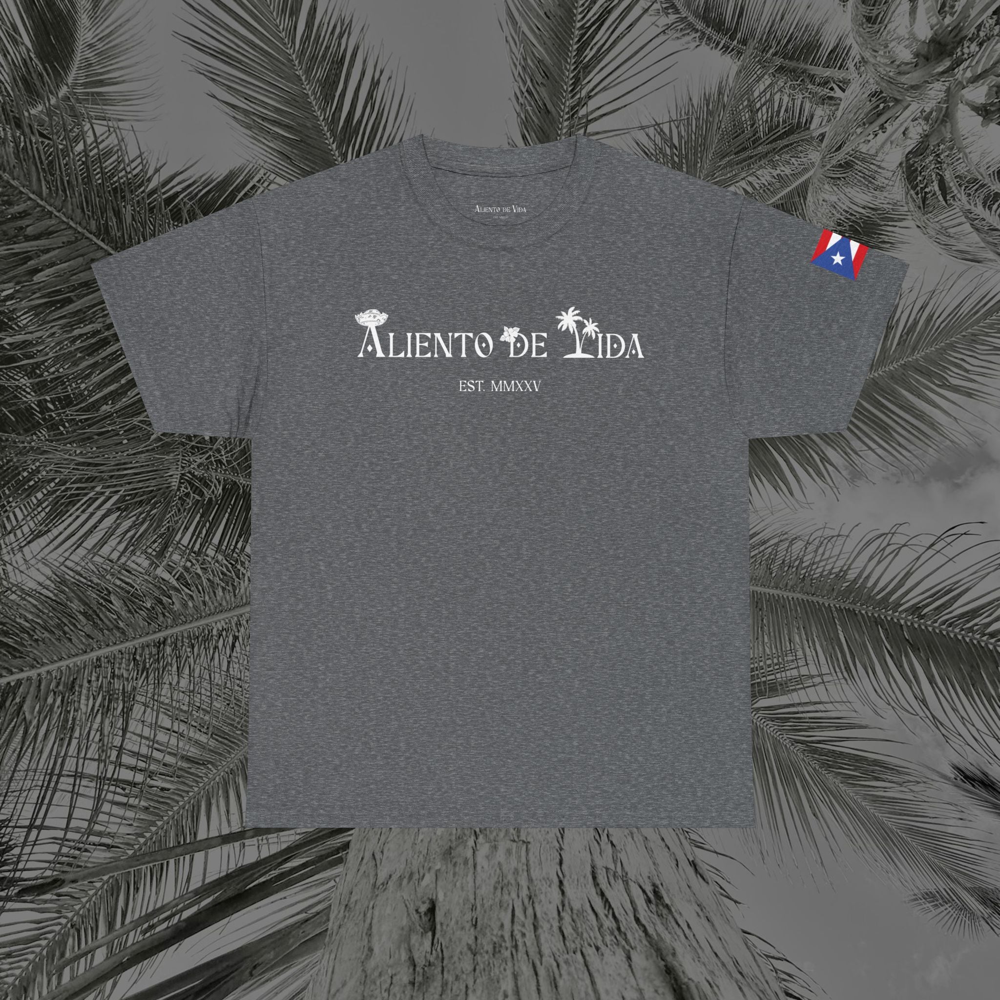 Island Cruiser - PR COLLECTION - (UNISEX) Heavy Cotton Tee - Aliento De Vida