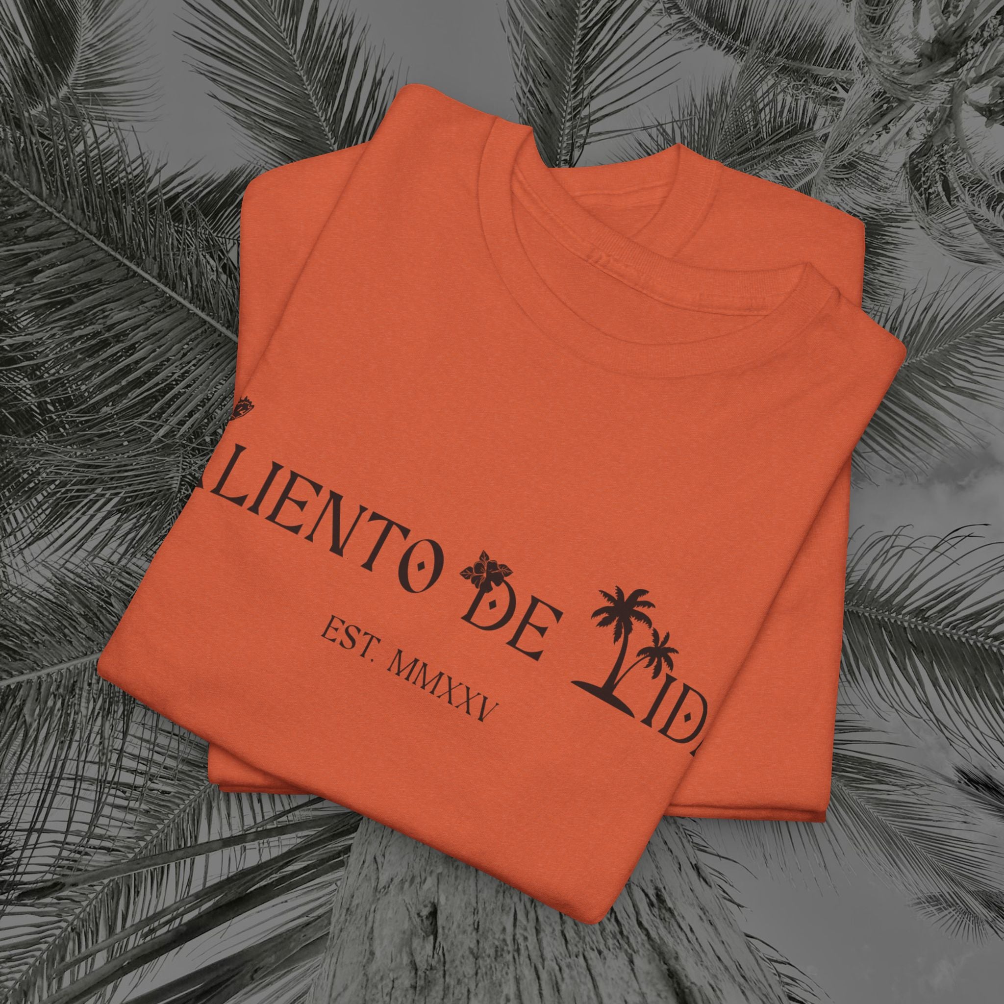 Coqui Crazy - PR COLLECTION - (UNISEX) Heavy Cotton Tee - Aliento De Vida