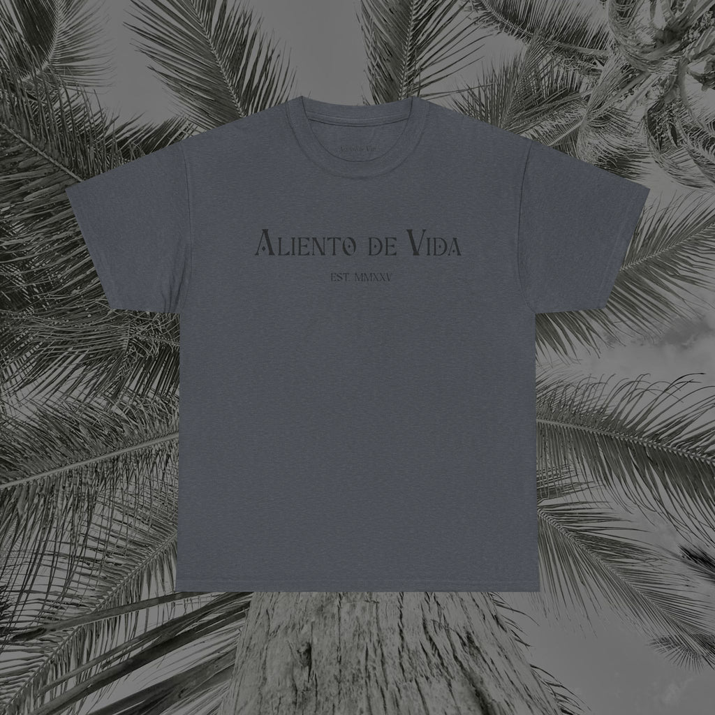 Capture The Moment - (UNISEX) Heavy Cotton Tee - Aliento De Vida