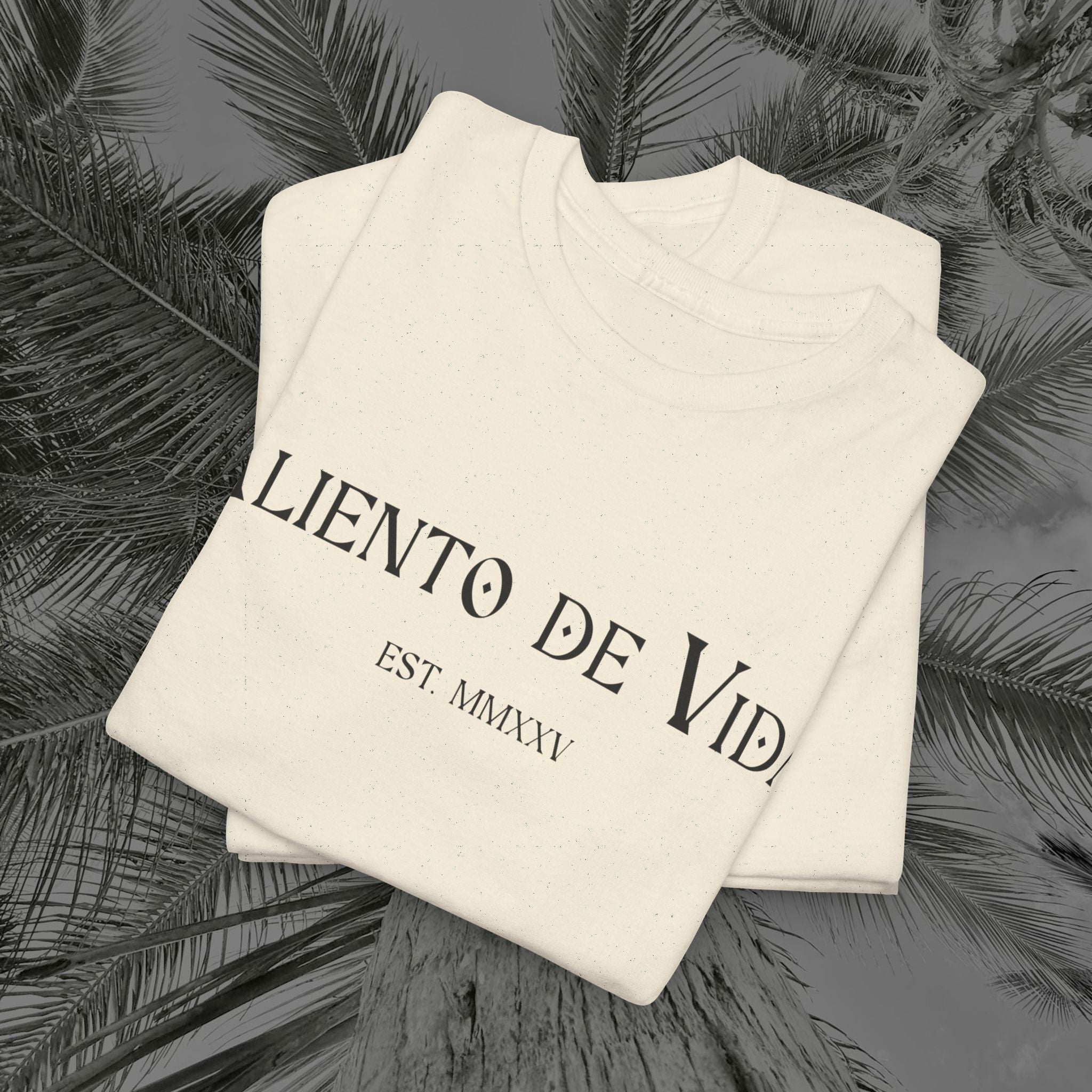 Wings of Grace - Back Design - Heavy Cotton Tee - Aliento De Vida