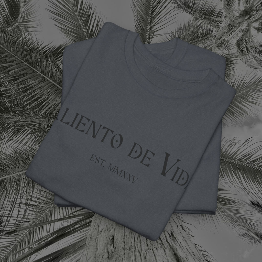 Capture The Moment - (UNISEX) Heavy Cotton Tee - Aliento De Vida