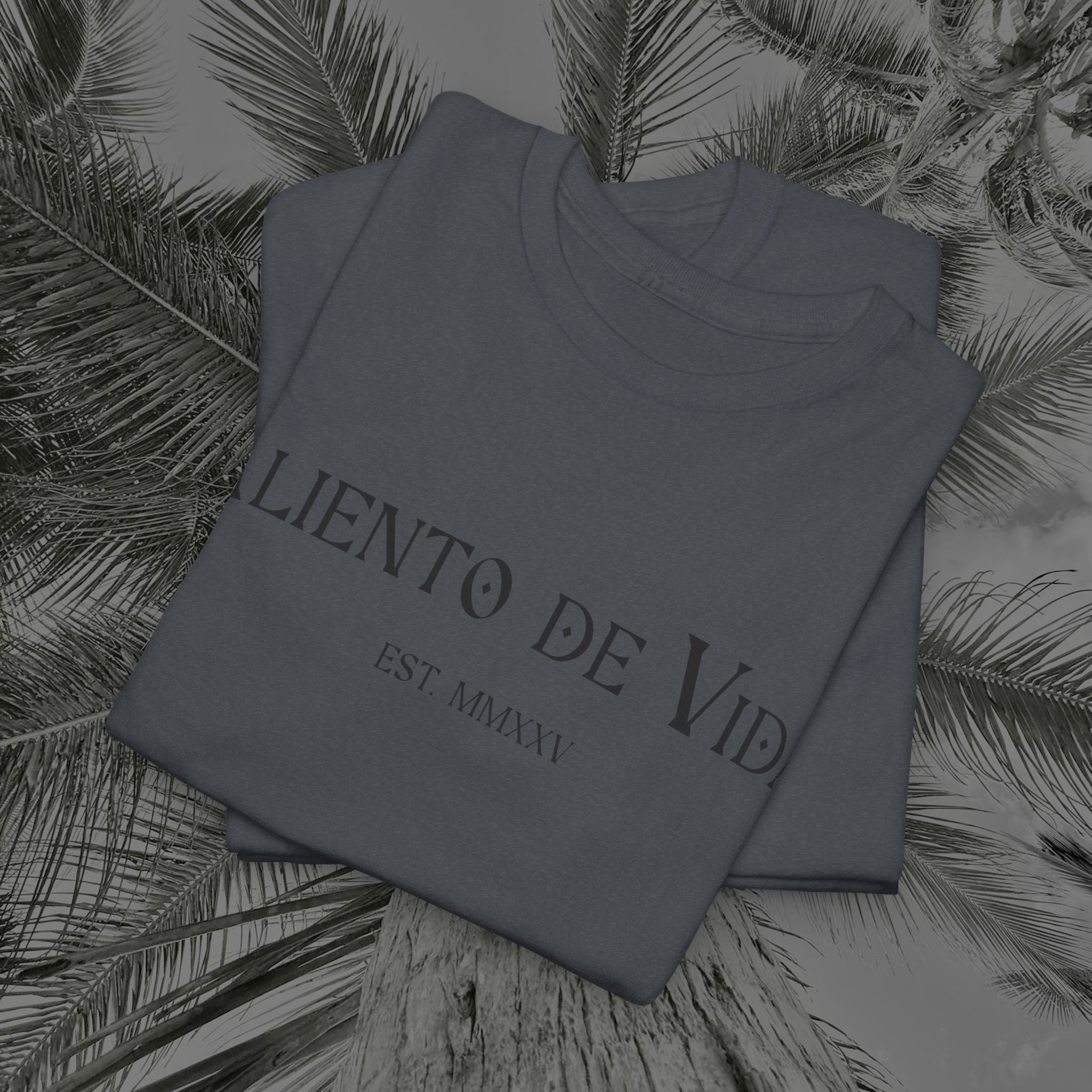 Capture The Moment - (UNISEX) Heavy Cotton Tee - Aliento De Vida
