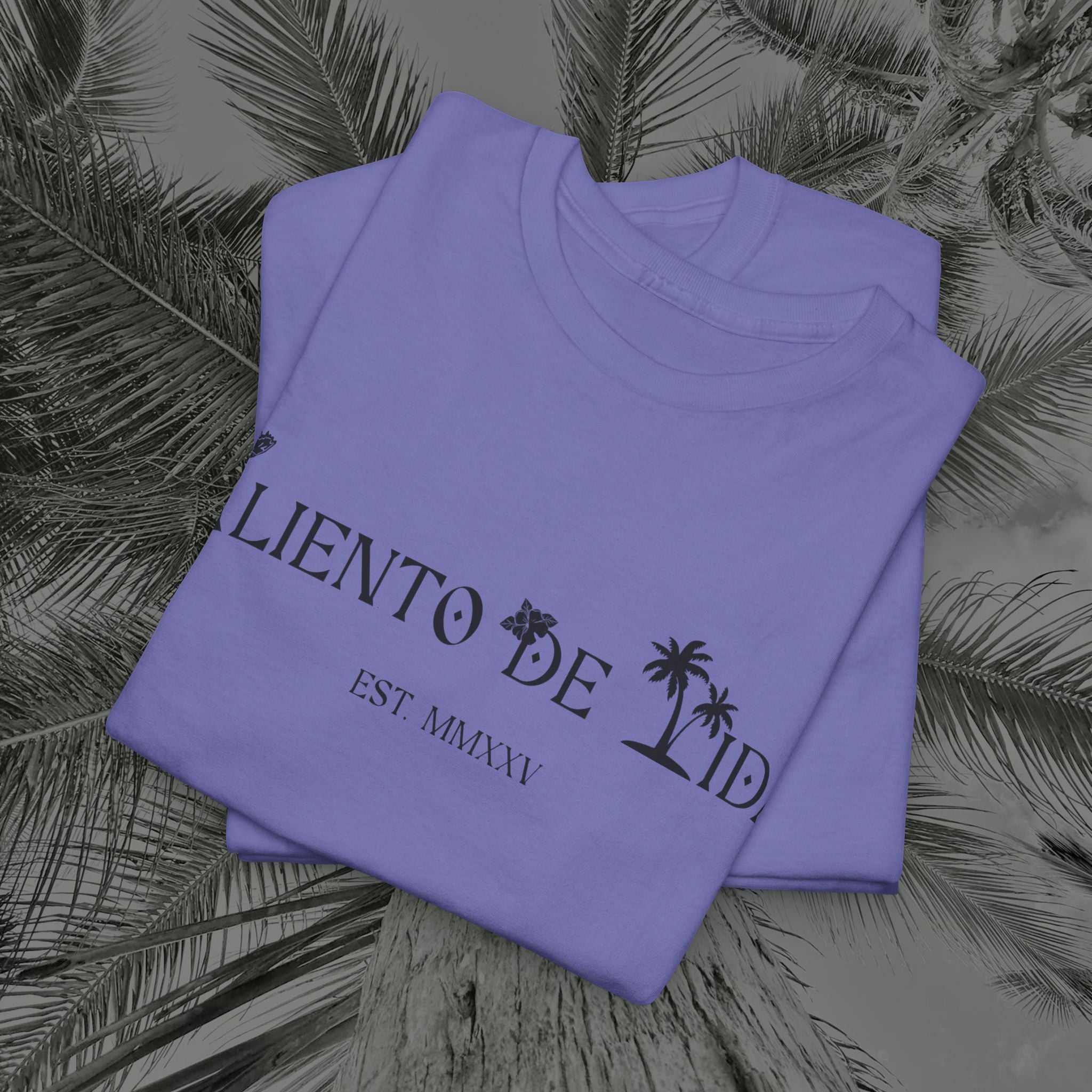 Coqui Crazy - PR COLLECTION - (UNISEX) Heavy Cotton Tee - Aliento De Vida