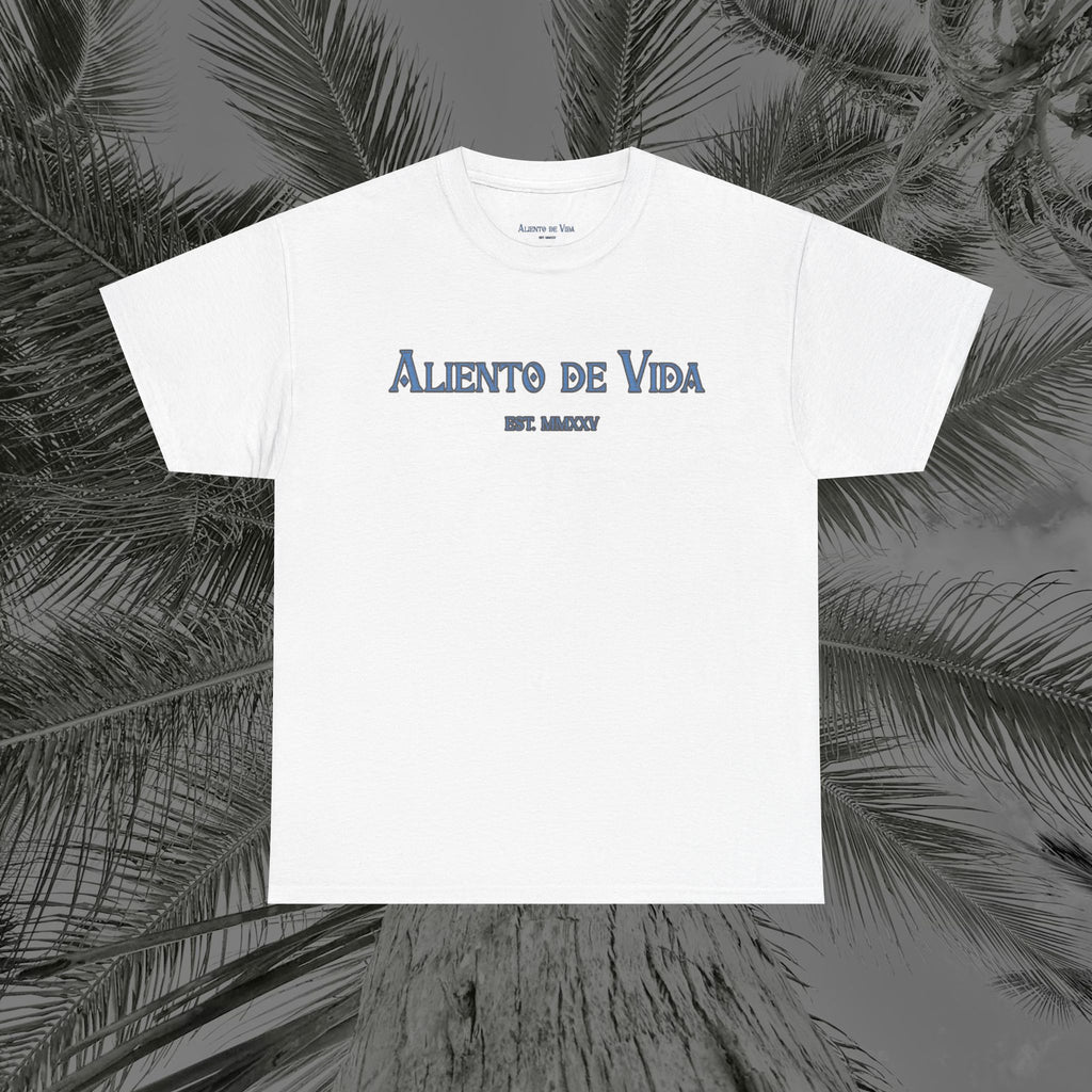 Always Pray - (UNISEX) Heavy Cotton Tee - Aliento De Vida