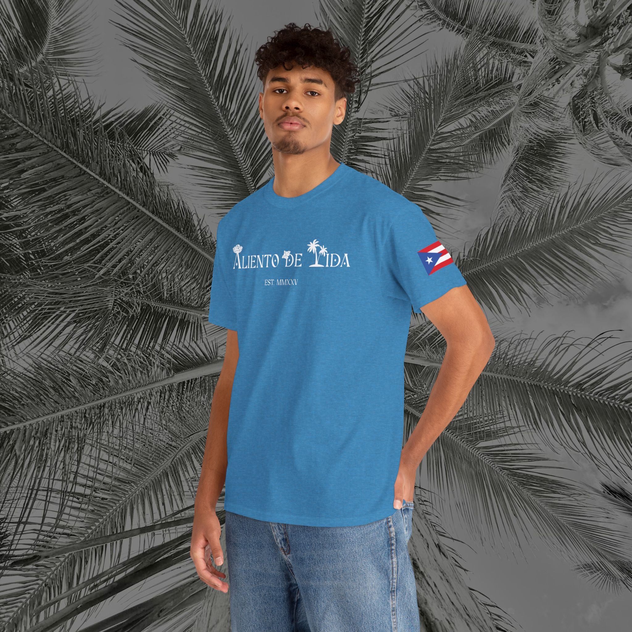 Island Cruiser - PR COLLECTION - (UNISEX) Heavy Cotton Tee - Aliento De Vida