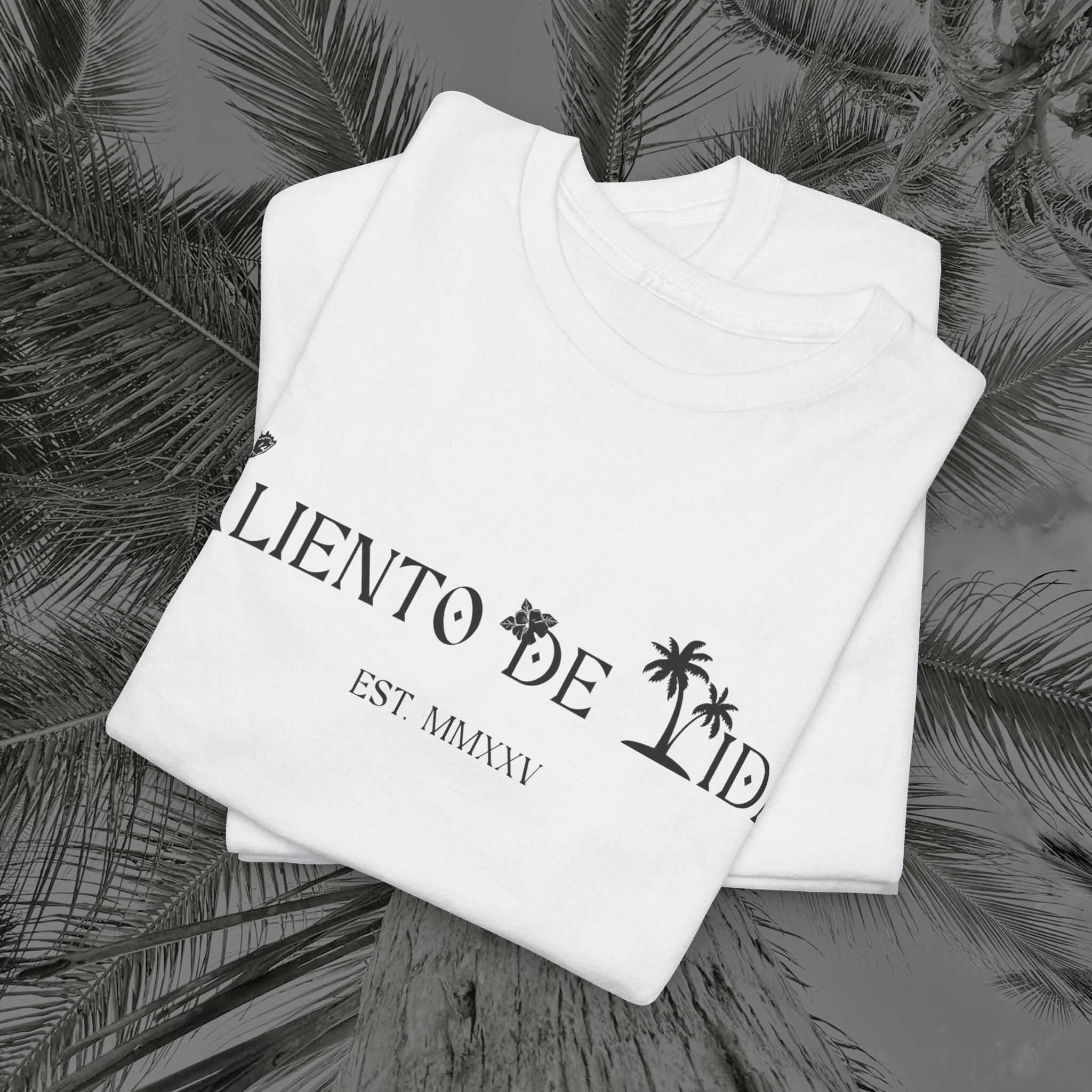 Coqui Crazy - PR COLLECTION - (UNISEX) Heavy Cotton Tee - Aliento De Vida