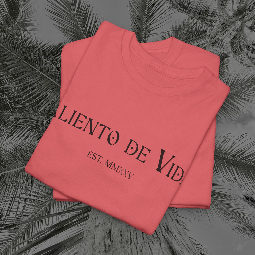 Climbing To New Heights - (UNISEX) Heavy Cotton T-Shirt - Aliento De Vida