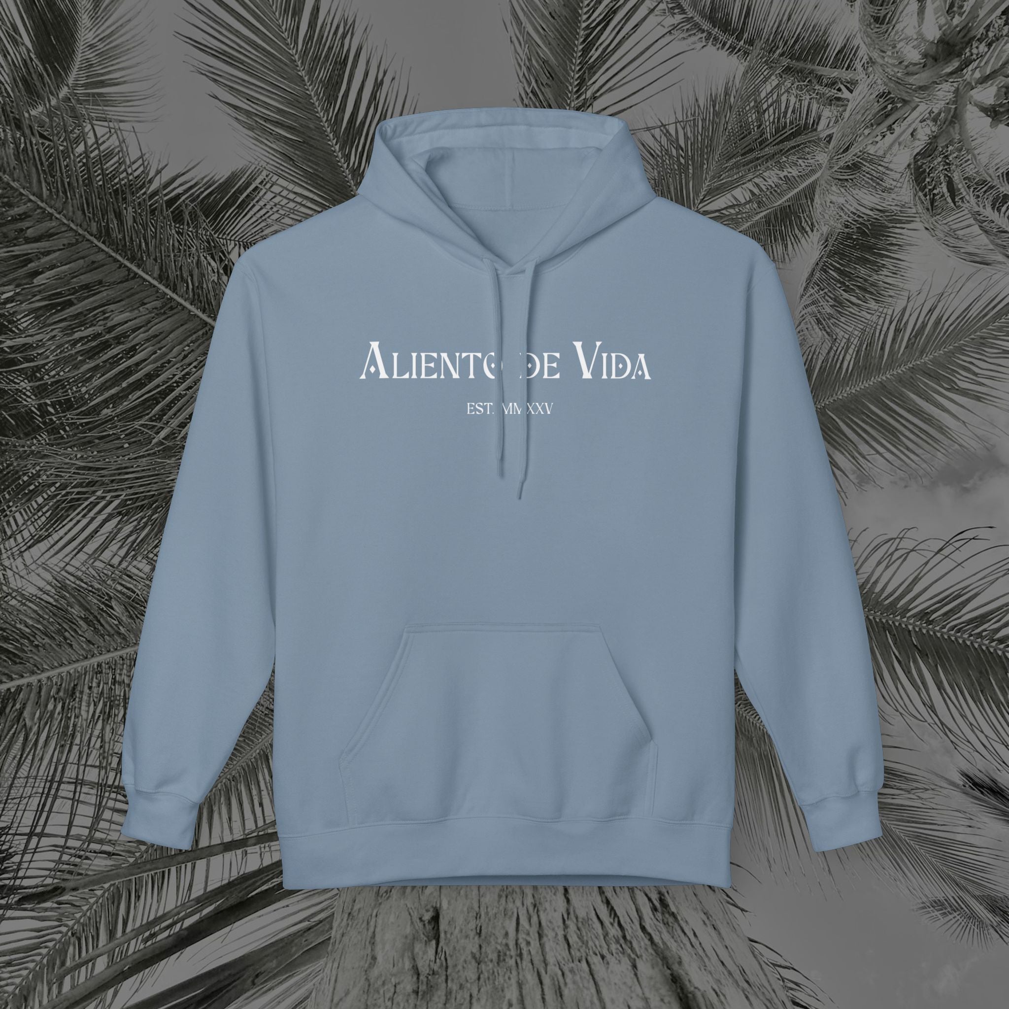 Throne of the Divine - (UNISEX) Midweight Fleece Hoodie - Aliento De Vida