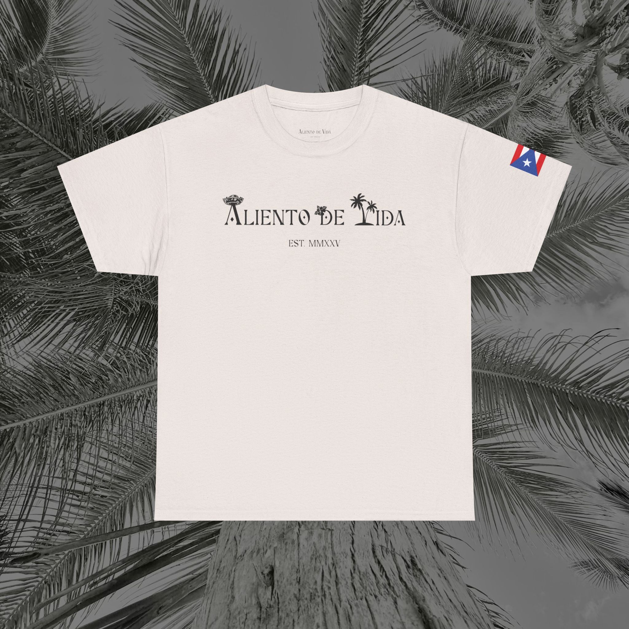 WE ARE PUERTO RICAN - PR COLLECTION - (UNISEX) Heavy Cotton Tee - Aliento De Vida