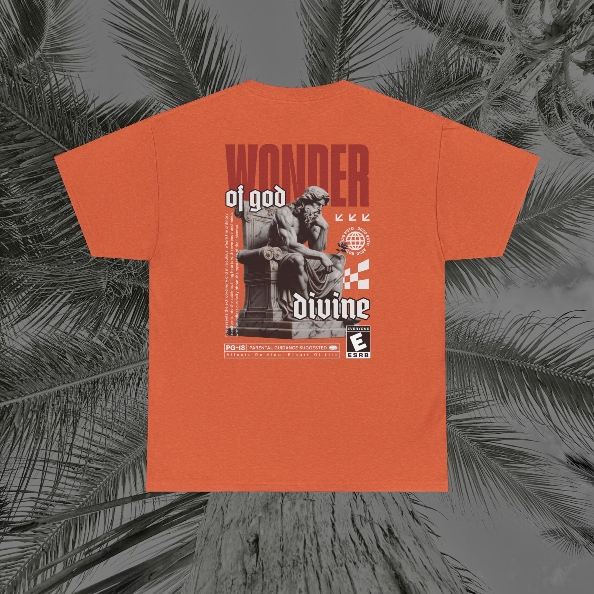 Throne of the Divine - (UNSEX) Heavy Cotton T-Shirt - Aliento De Vida