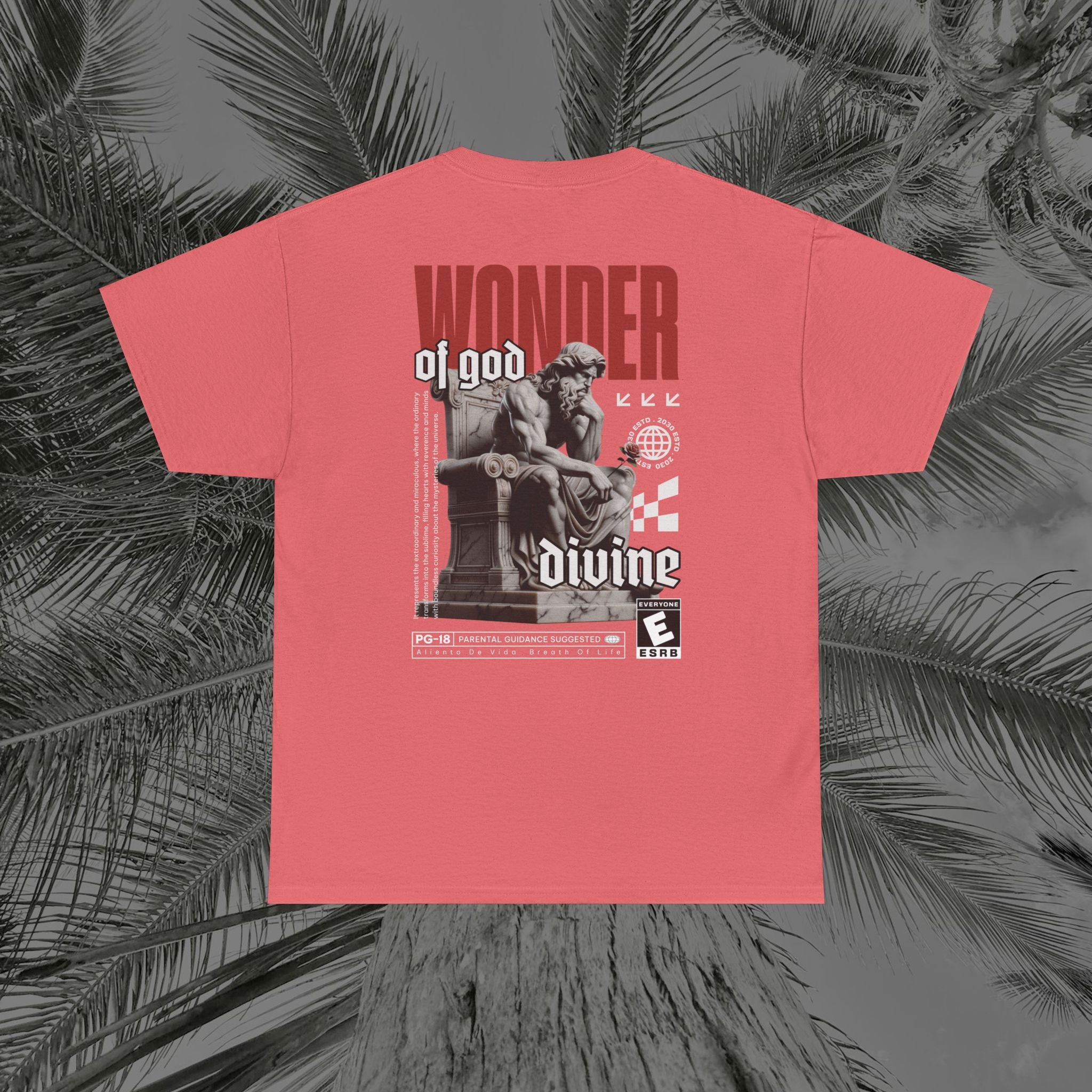 Throne of the Divine - (UNSEX) Heavy Cotton T-Shirt - Aliento De Vida