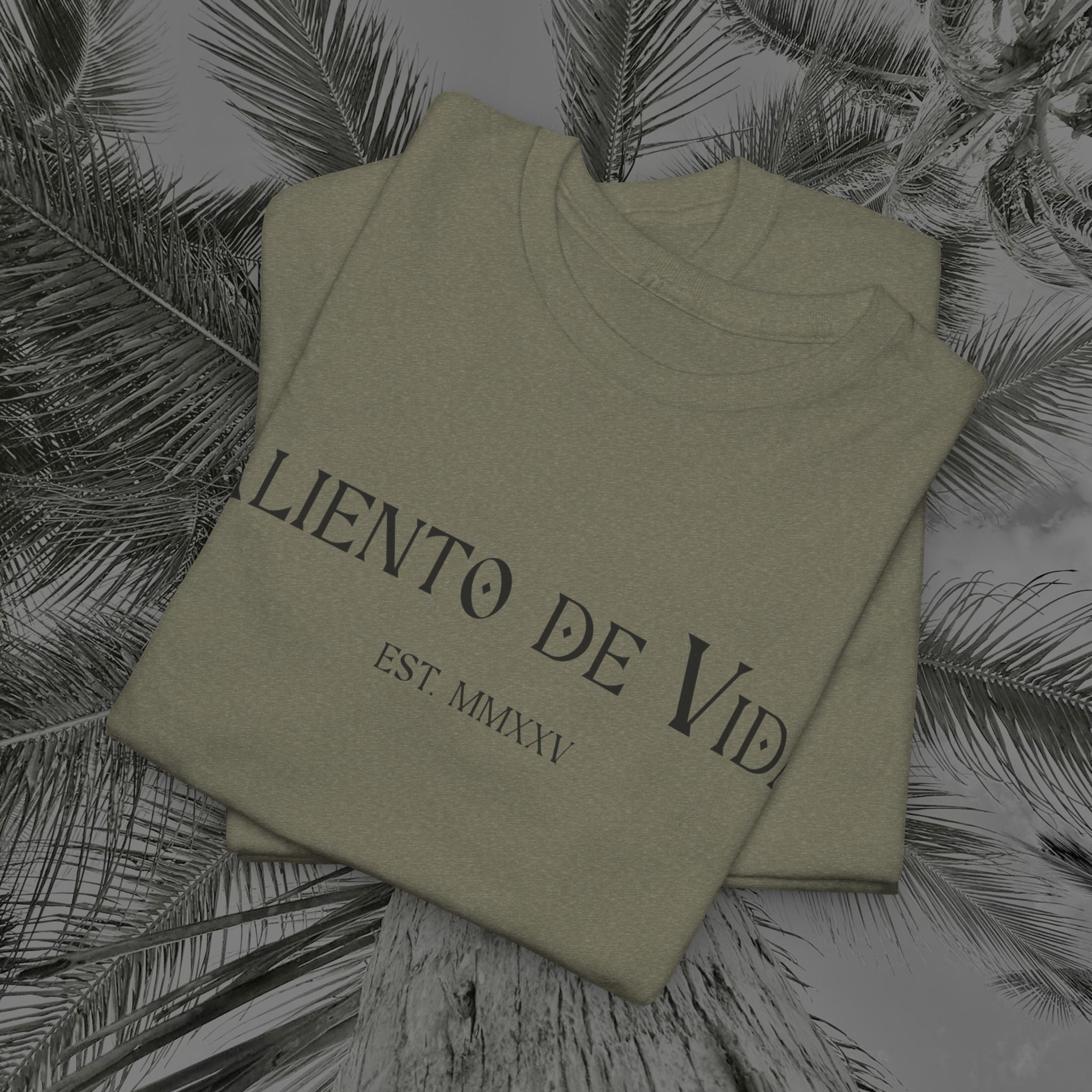 Capture The Moment - (UNISEX) Heavy Cotton Tee - Aliento De Vida