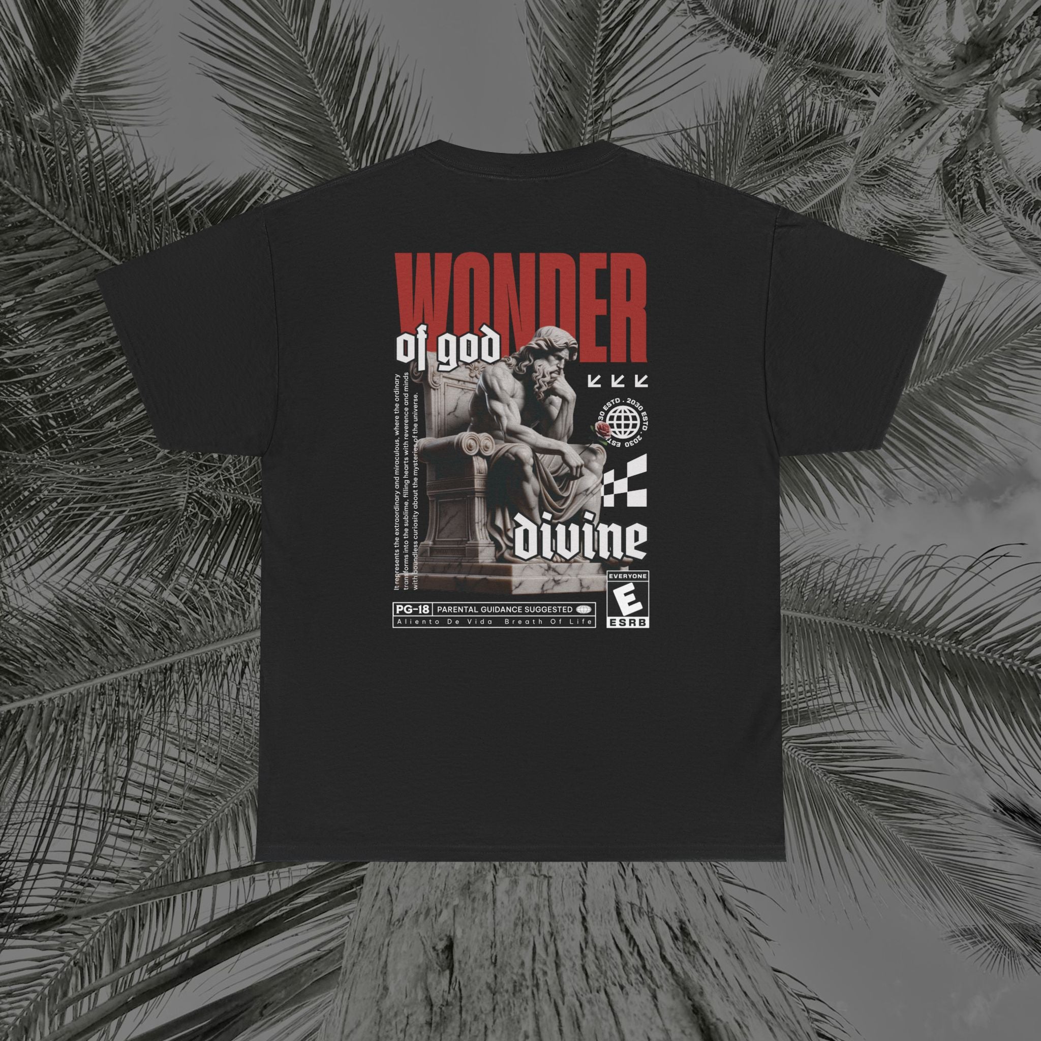 Throne of the Divine - (UNSEX) Heavy Cotton T-Shirt - Aliento De Vida