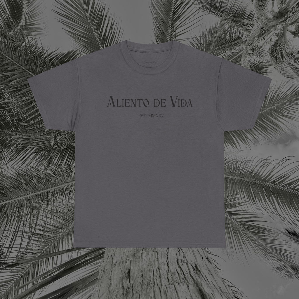 Wings of Grace - Back Design - Heavy Cotton Tee - Aliento De Vida