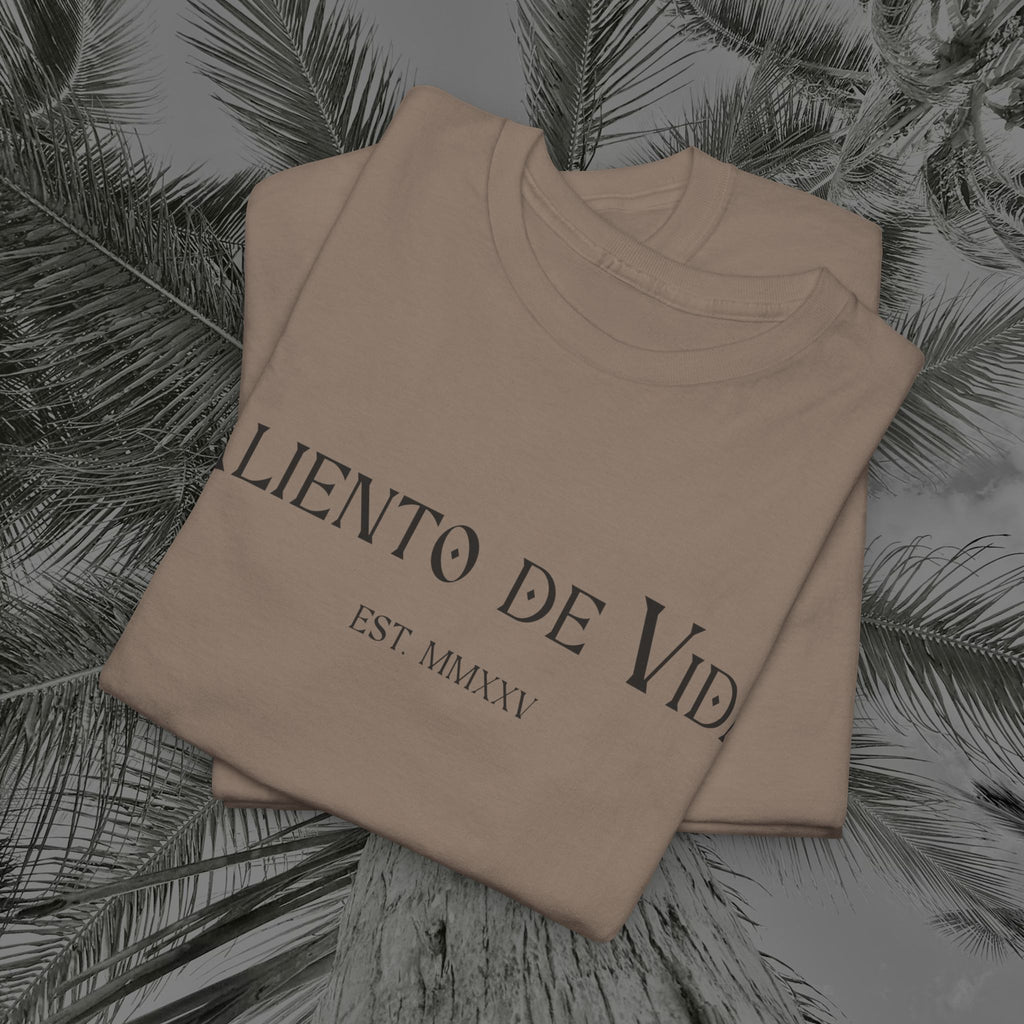 Climbing To New Heights - (UNISEX) Heavy Cotton T-Shirt - Aliento De Vida